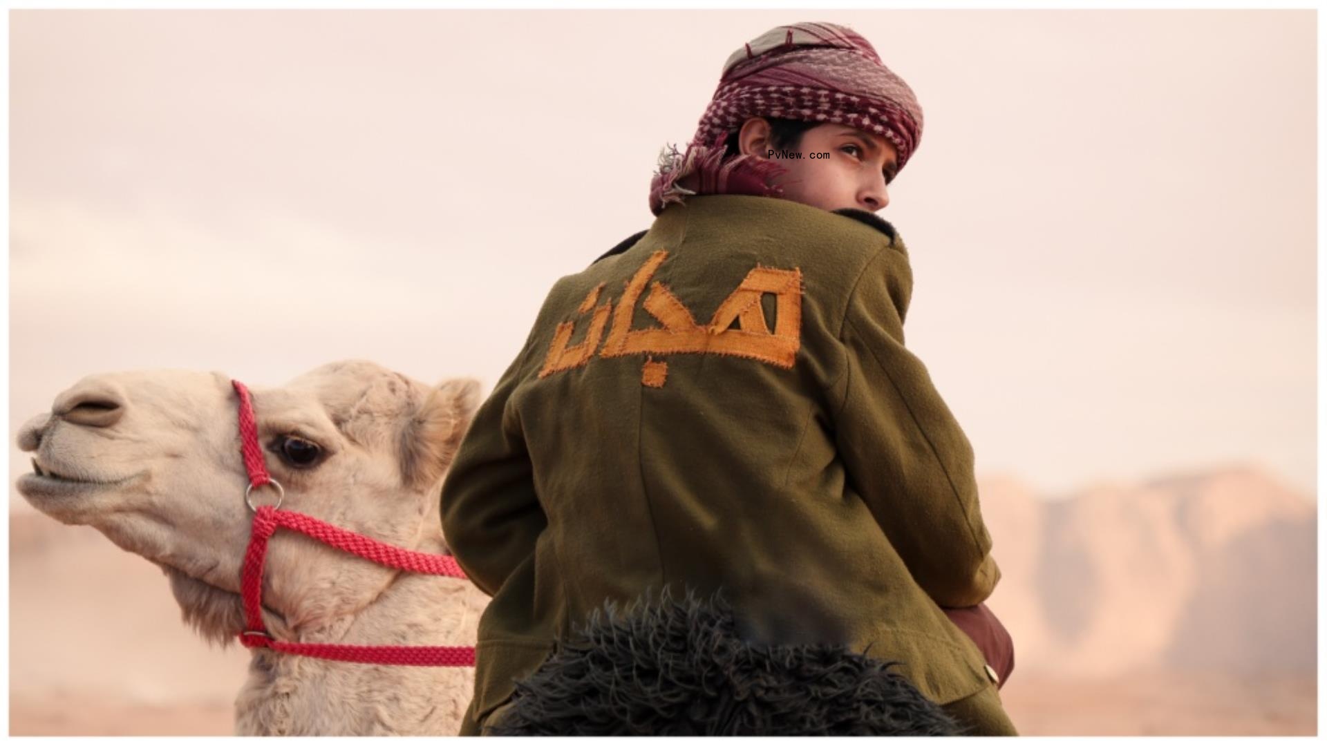 ‘Yomeddine’ Director Abu Bakr Shawky on His Camel Racing Epic ‘Hajjan’: ‘We’re Trying to Make a Desert Story From Our Perspective’