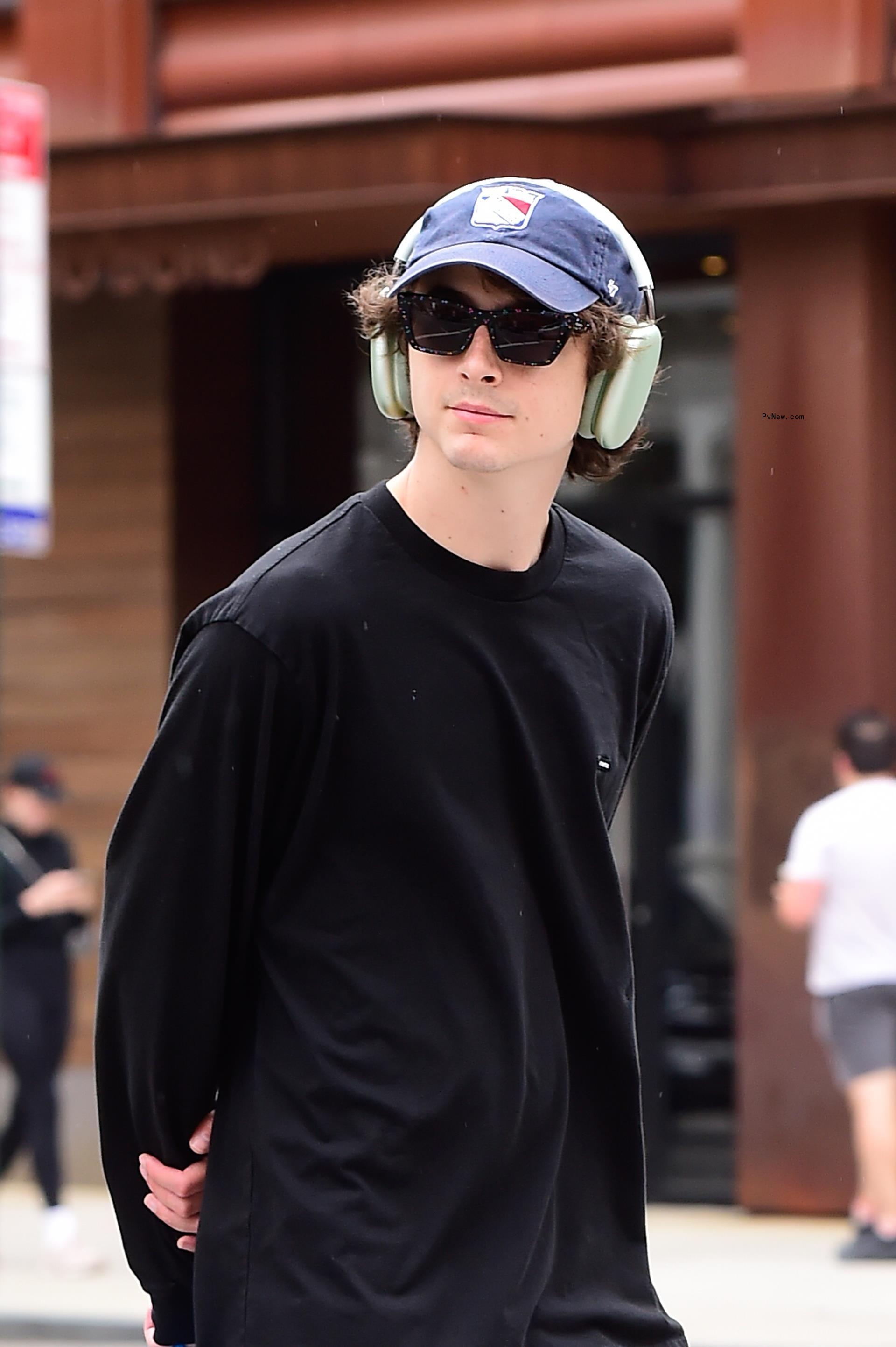 Timothée Chalamet walking in NYC.