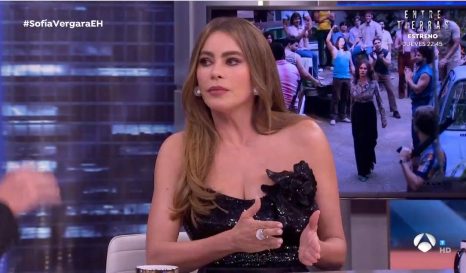 Sofía Vergara. 