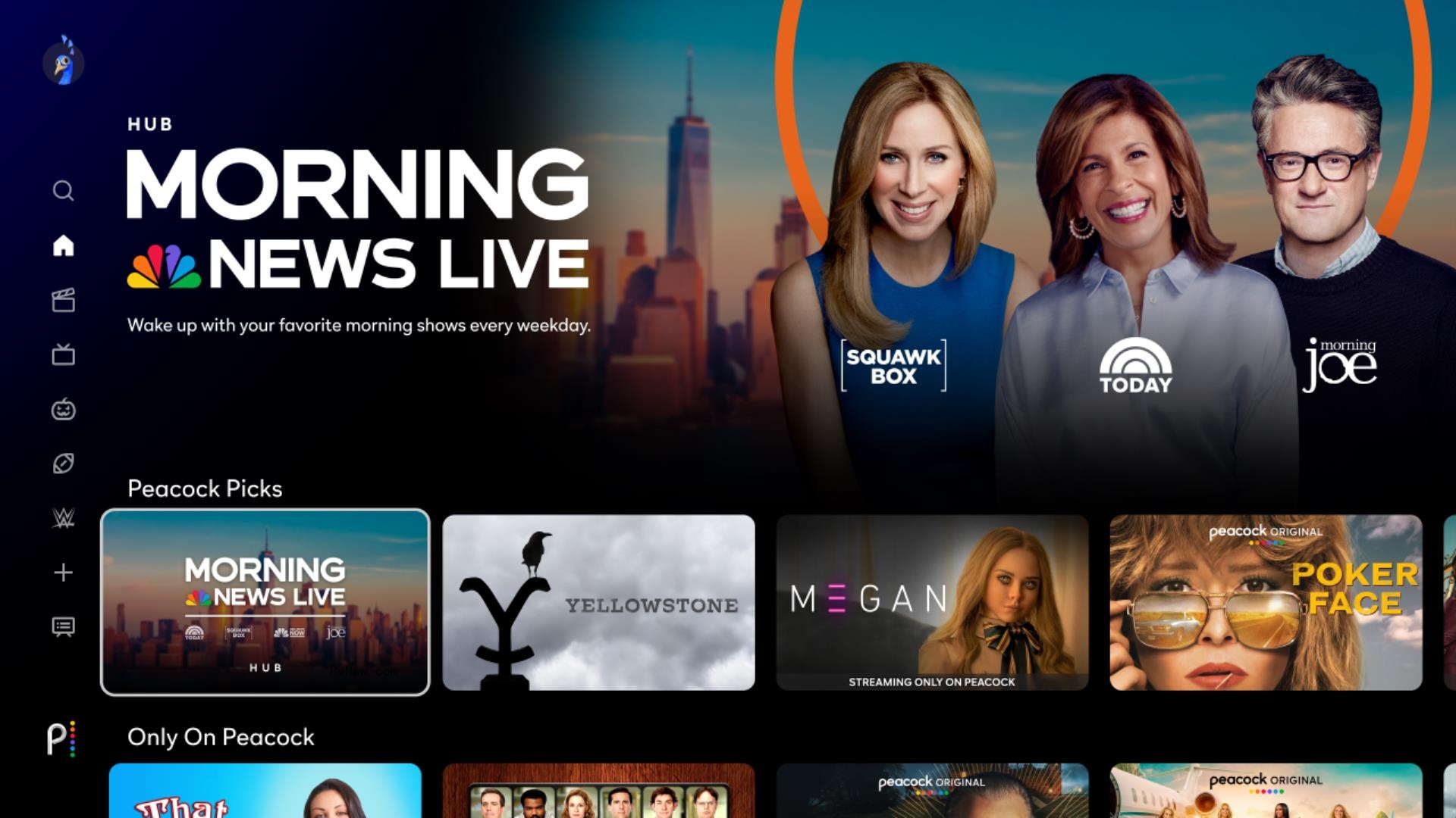 Peacock Offers Morning-News Bundle of ‘Morning Joe,’ ‘Squawk Box,’ ‘Today’ and Others
