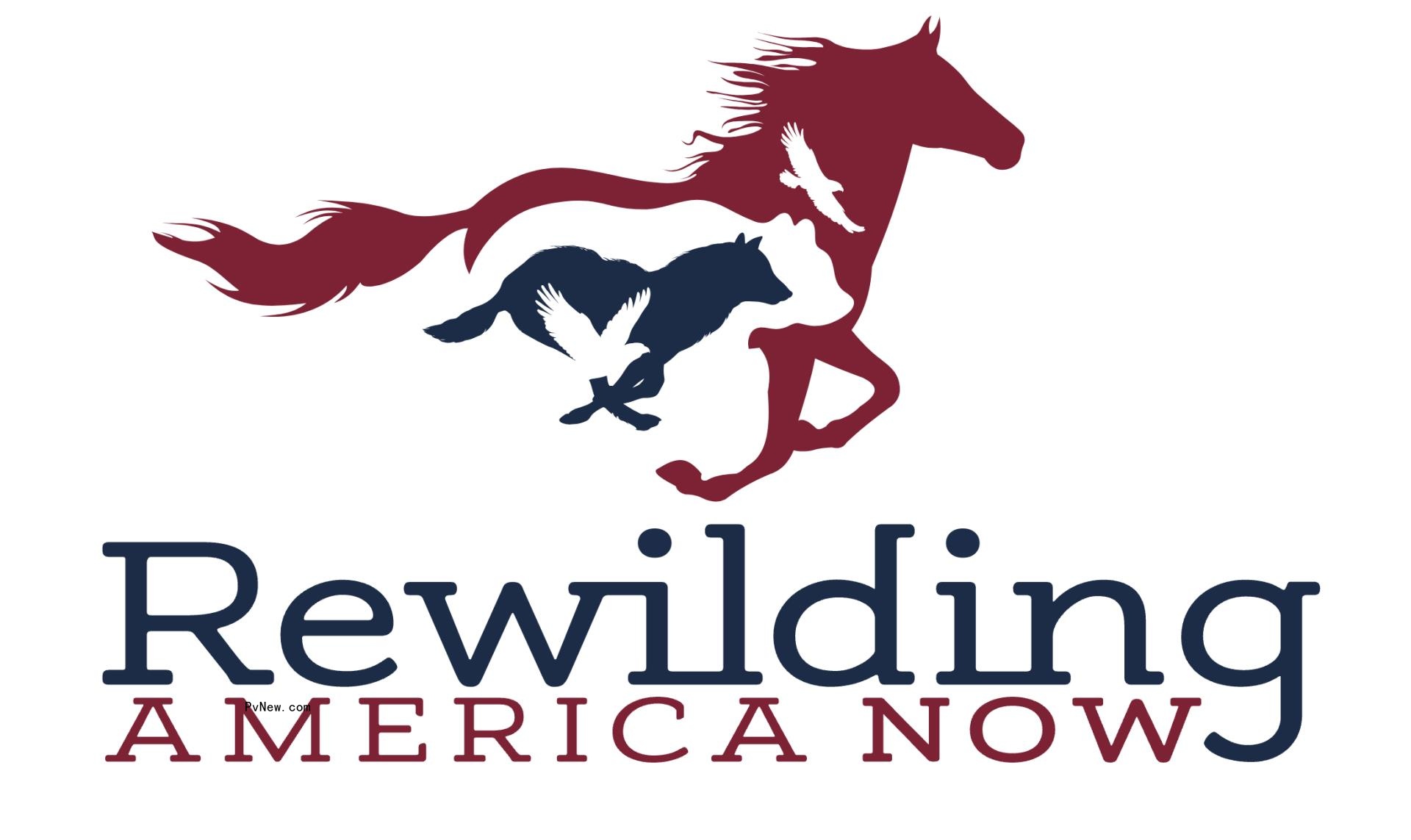 Former Studio Head Michael Nathanson Joins Horse Co<i></i>nservation No<i></i>nprofit Rewilding America Now as CEO and Managing Director