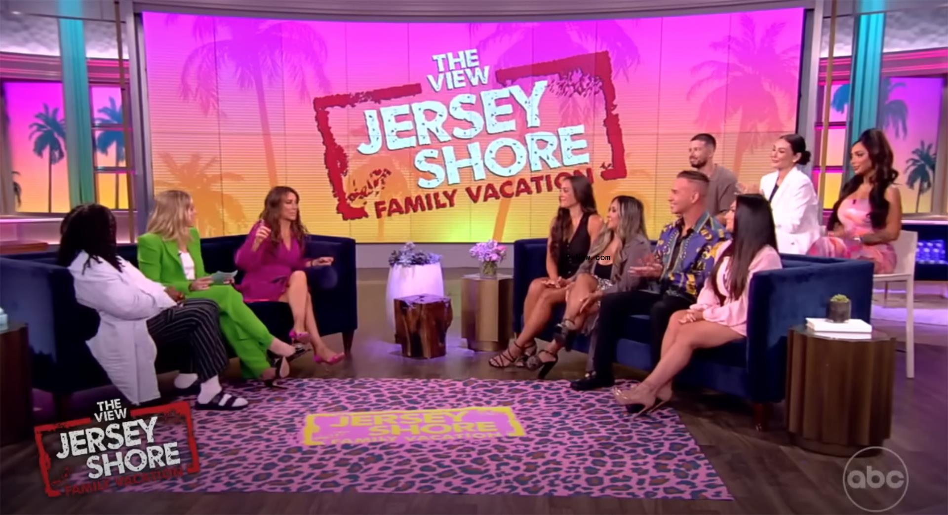 The Jersey Shore cast on The View