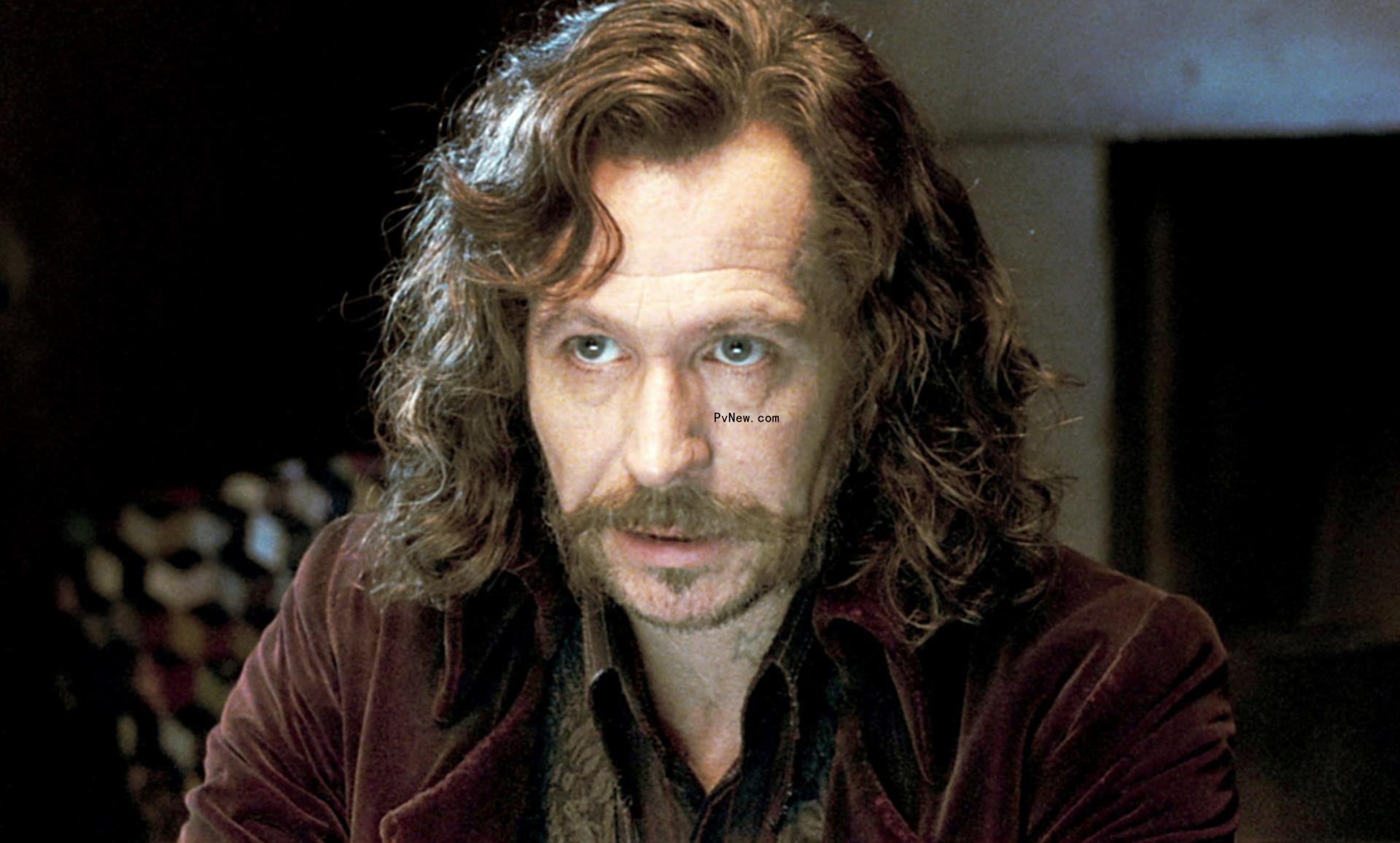 Gary Oldman Disses His ‘Harry Potter’ Acting as ‘Mediocre’: ‘Maybe if I Read the Books’ Like Alan Rickman…’I Would Have Played It Differently’