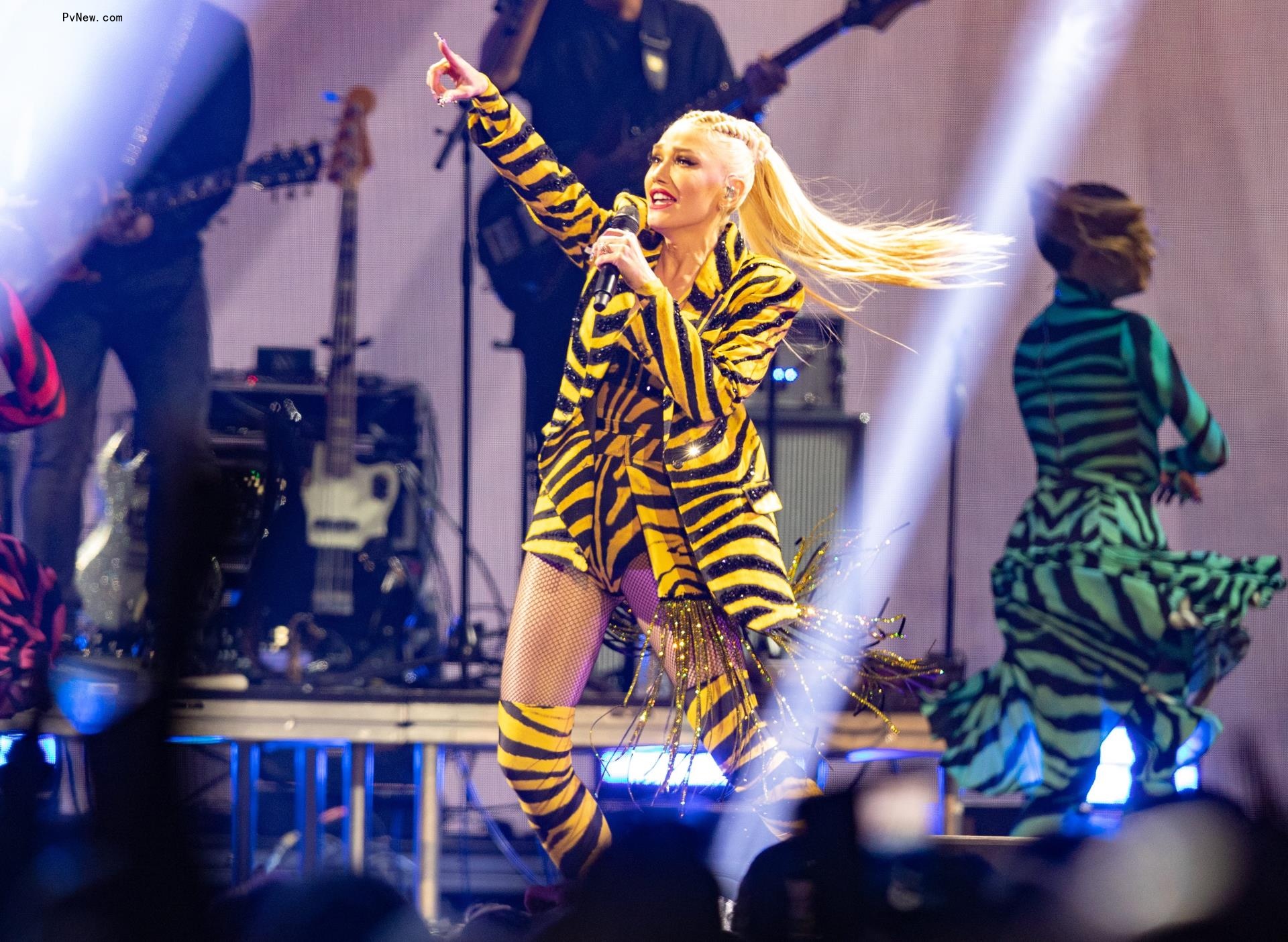 Blake Shelton and Gwen Stefani Are Just a Girl and Hollaback Boy Co-Headlining Super Bowl Music Fest