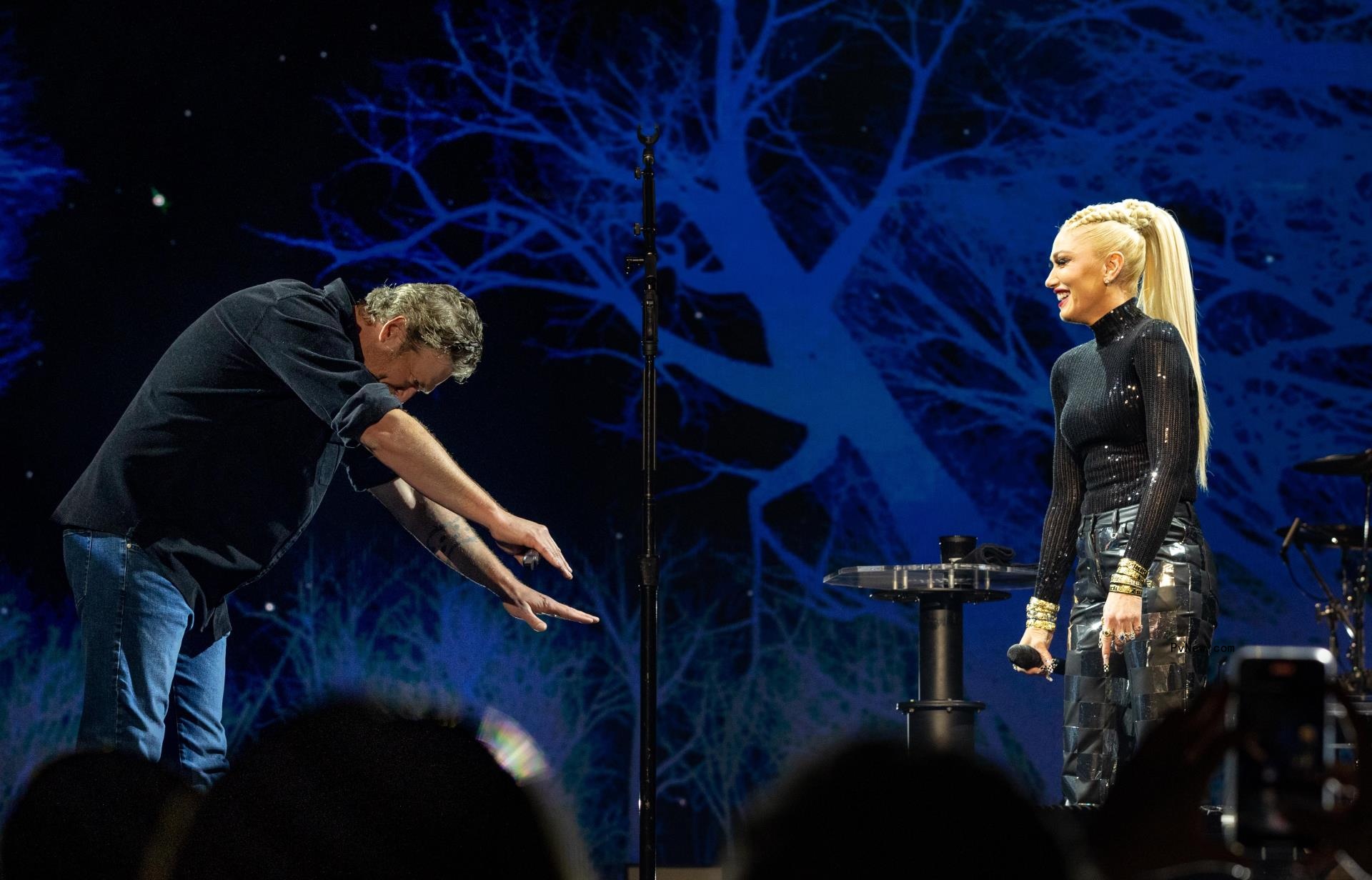 Blake Shelton and Gwen Stefani Are Just a Girl and Hollaback Boy Co-Headlining Super Bowl Music Fest