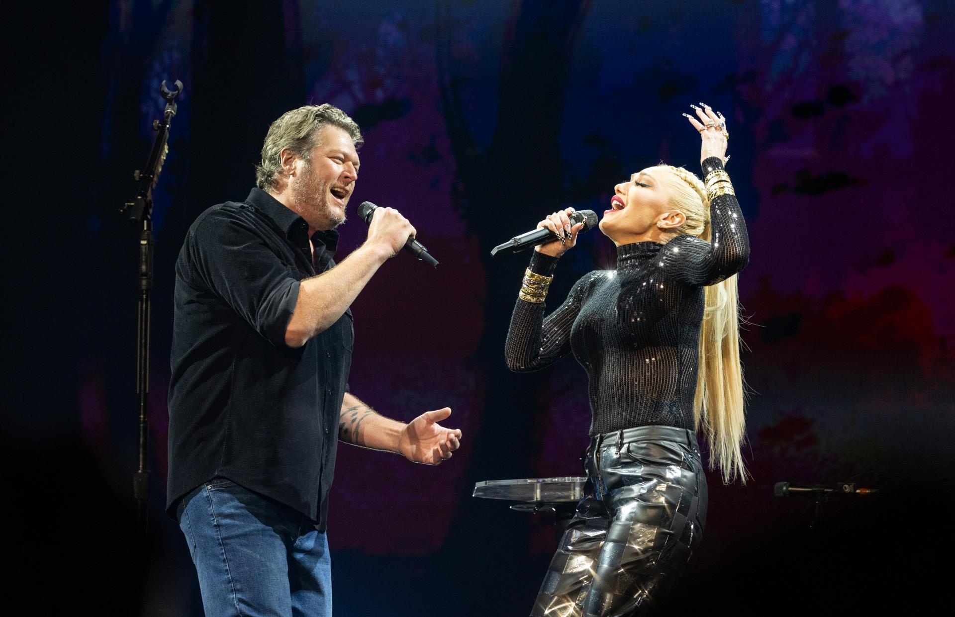 Blake Shelton and Gwen Stefani Are Just a Girl and Hollaback Boy Co-Headlining Super Bowl Music Fest