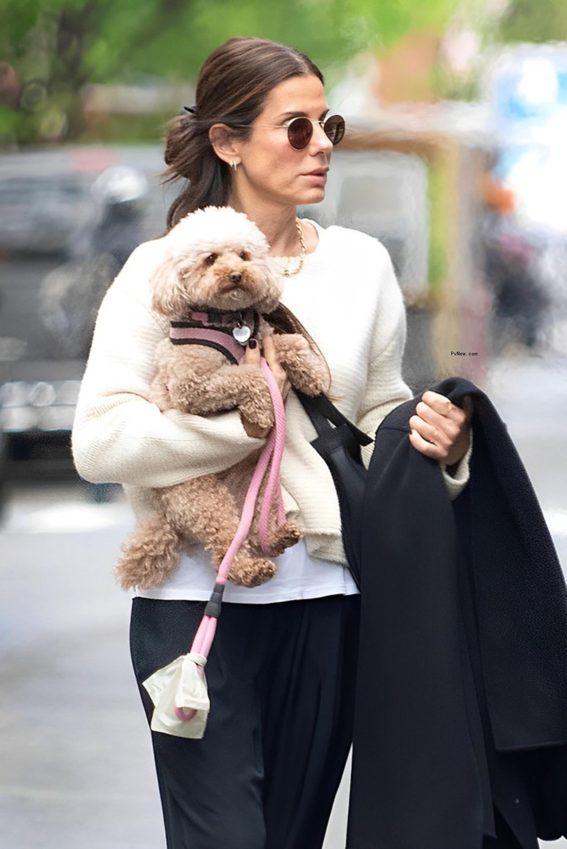 Sandra Bullock