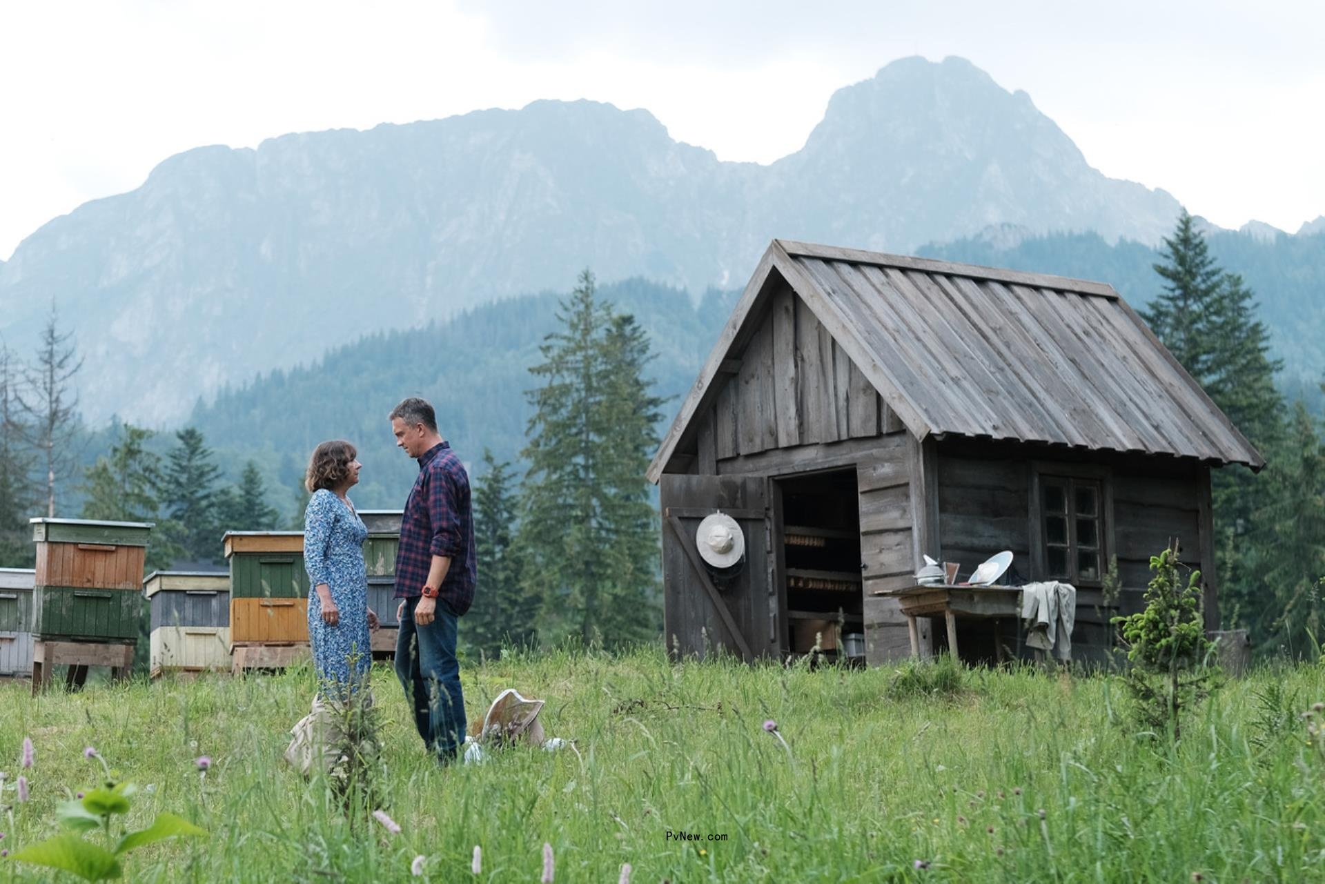 Poland’s Public Broadcaster TVP Moves Into Romantic Comedy With ’The Love Buzz’ on EFM Sales Slate
