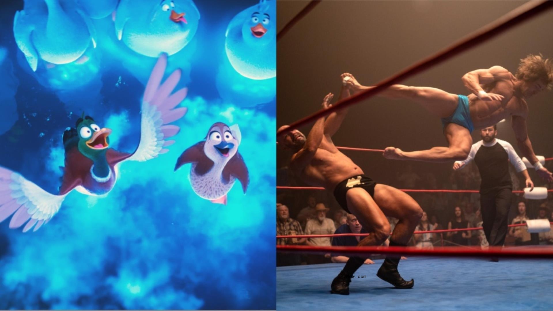 ‘Migration’ Co<i></i>ntinues Soaring at U.K., Ireland Box Office as ‘The Iron Claw’ Makes Strong Debut