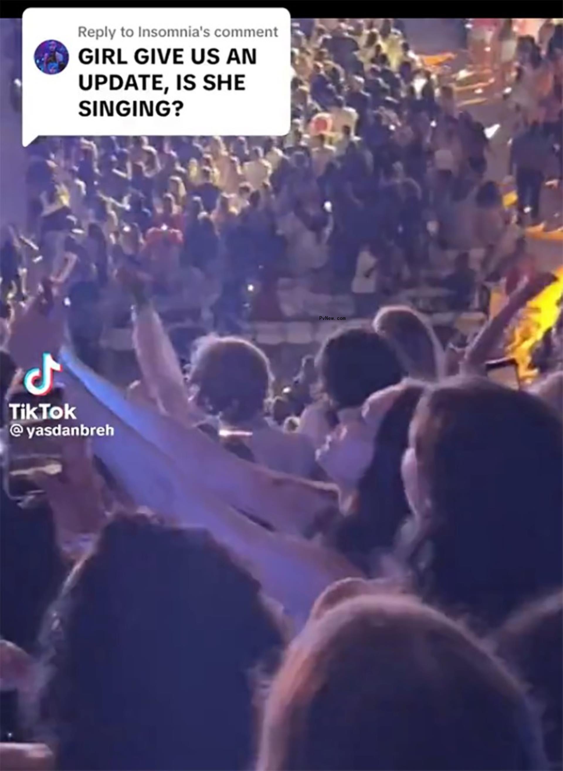 Karlie Kloss at the Taylor Swift concert.