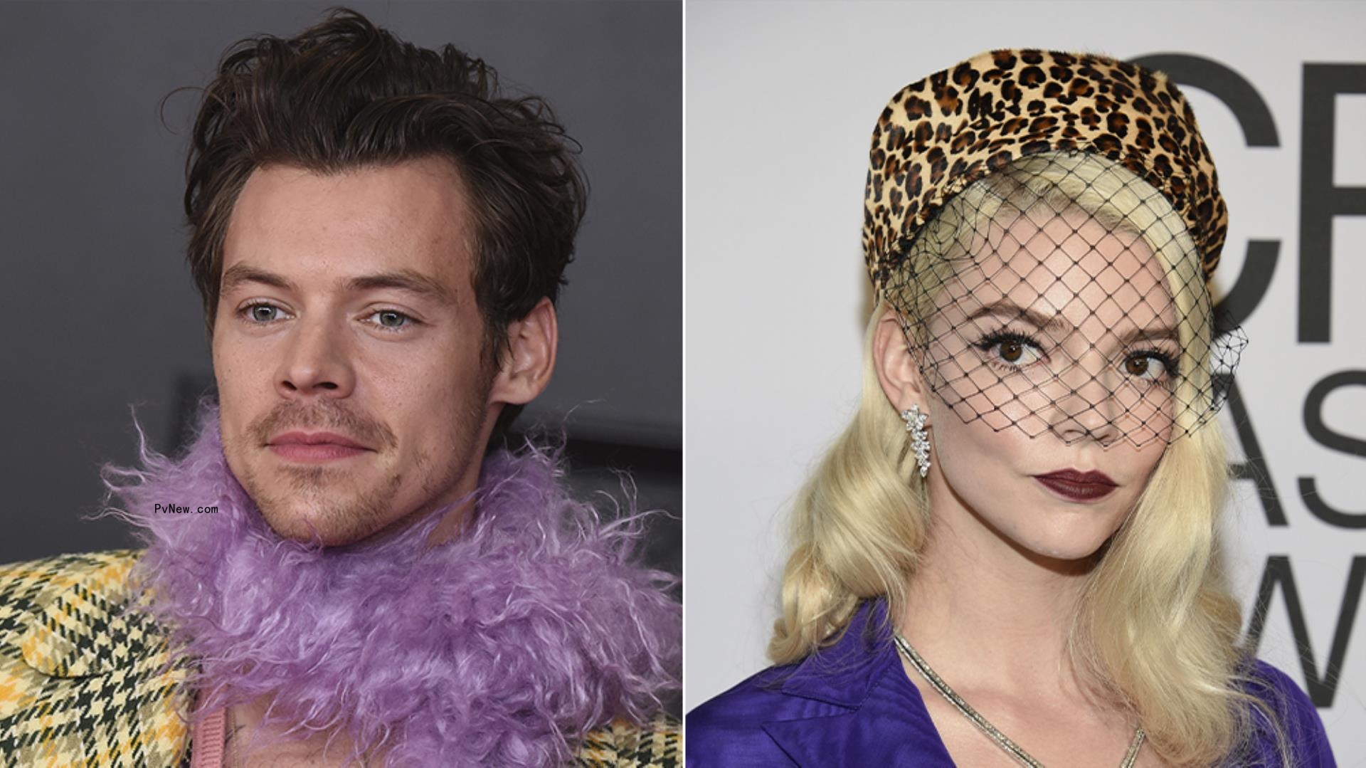 Harry Styles Dro<i></i>pped Out of Robert Eggers’ ‘Nosferatu’ Remake With Anya Taylor-Joy
