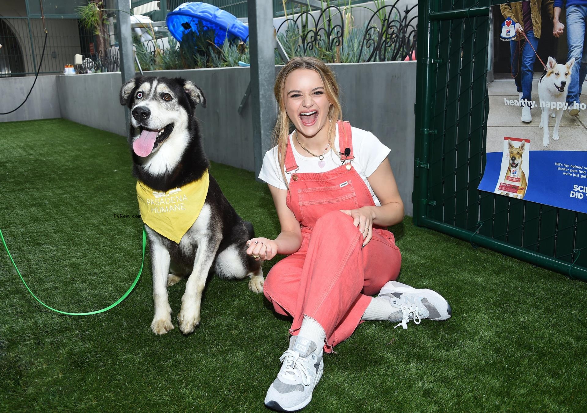 Joey King