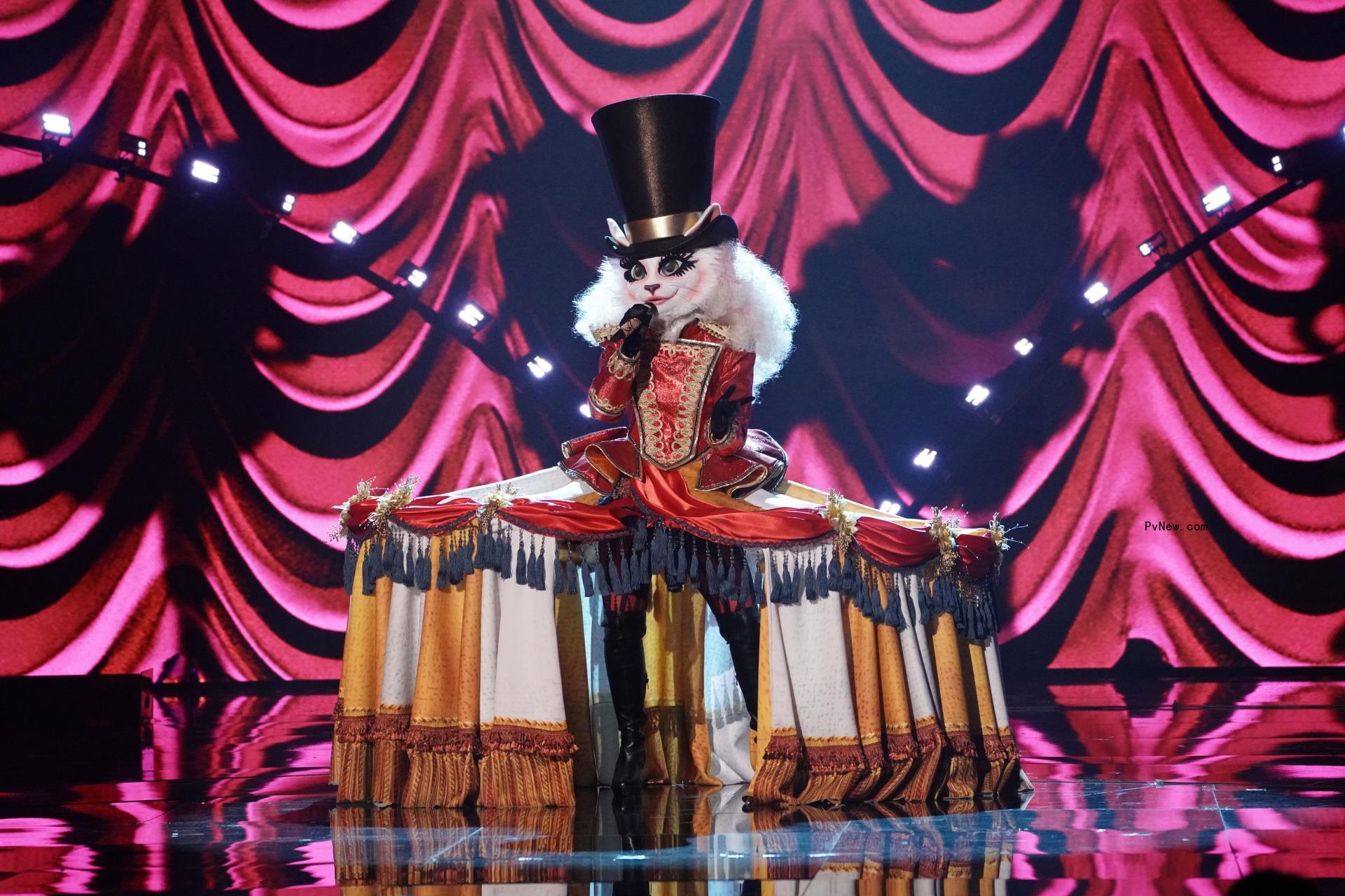 ‘The Masked Singer’ Finale Reveals Identities of Firefly, Ringmaster and Prince: Here’s Who Won Season 7