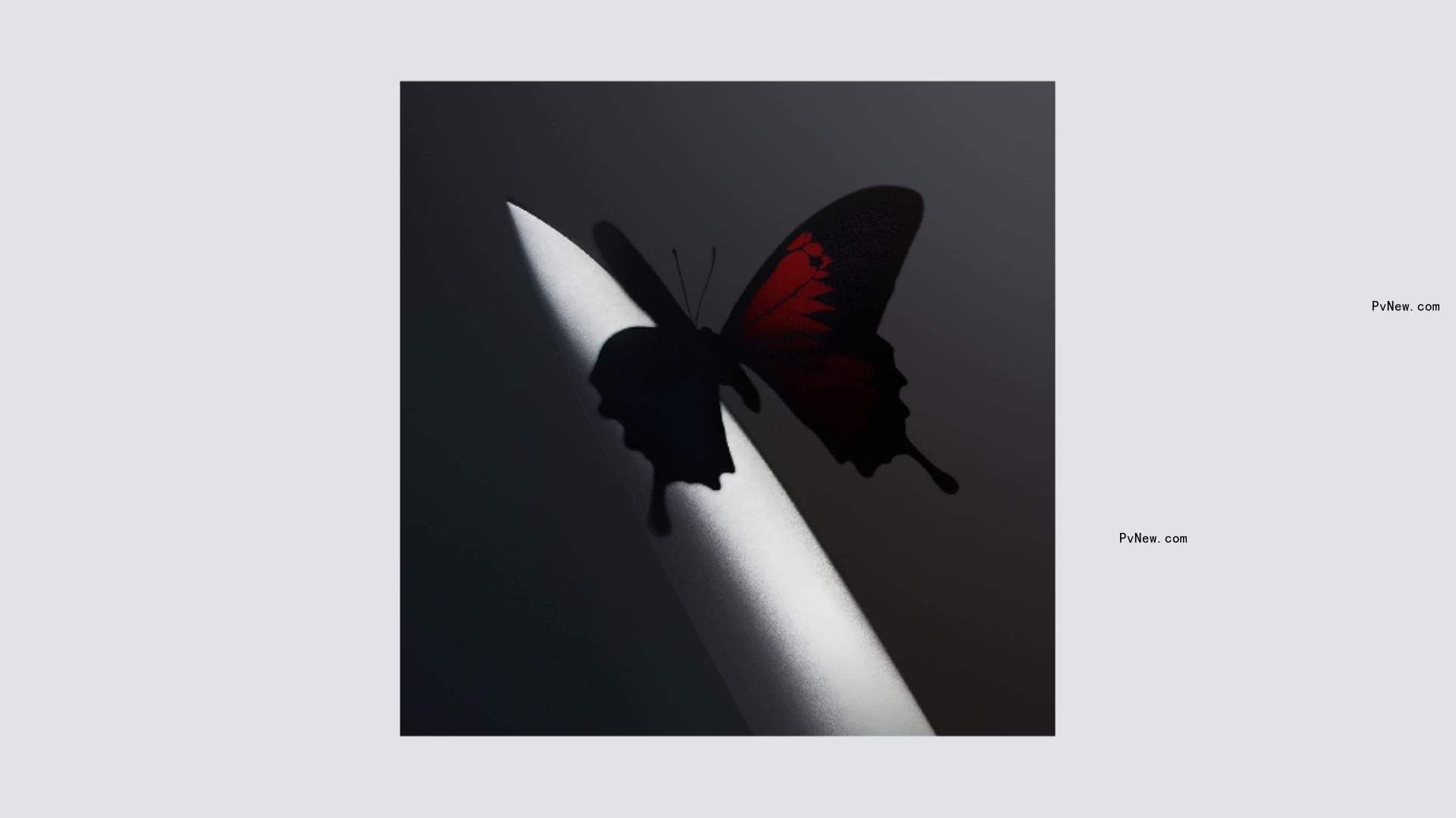 Post Malone Gets Depressed, Really Depressed, in the Sour But Still Engaging ‘Twelve Carat Toothache’: Album Review