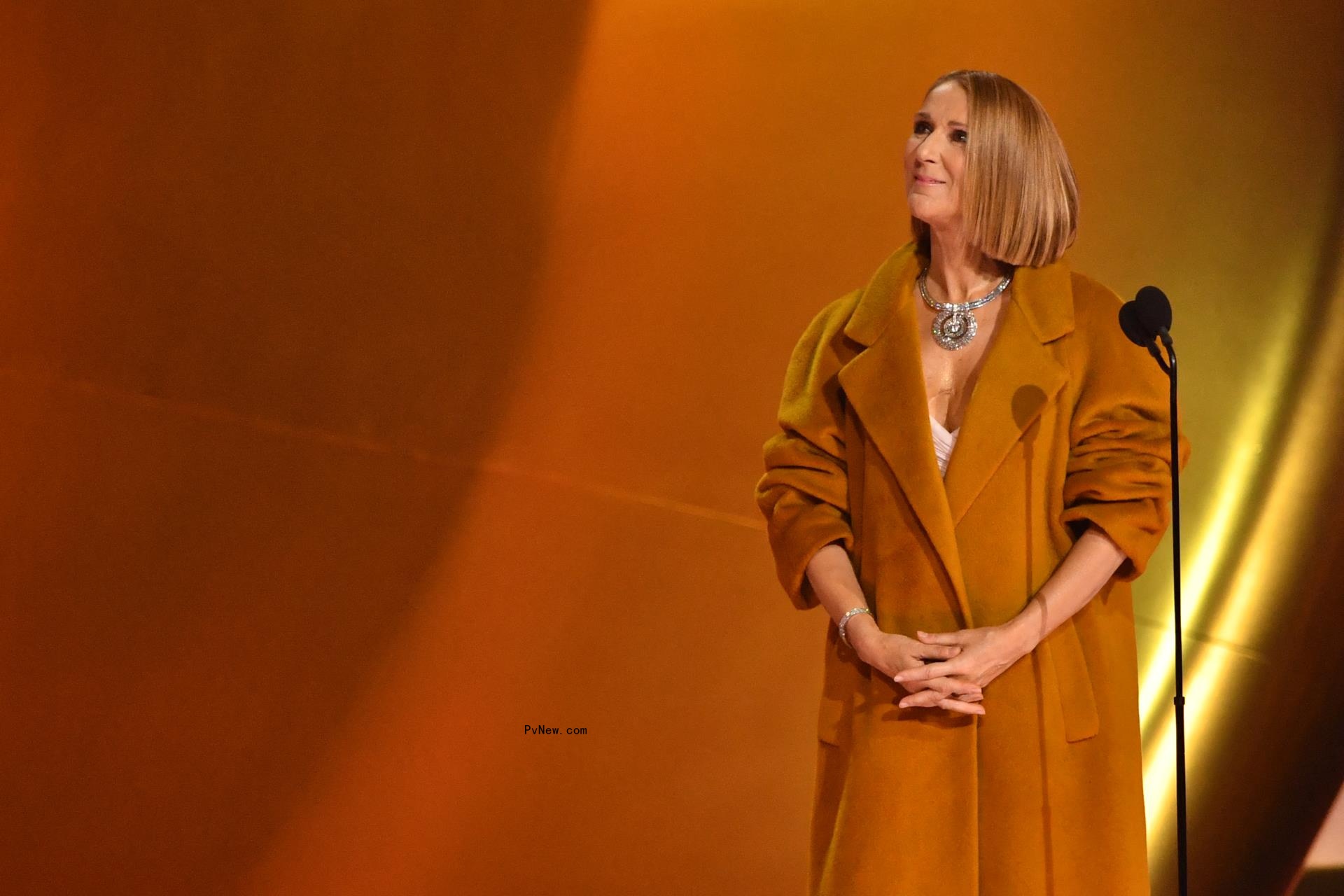 Celine Dion