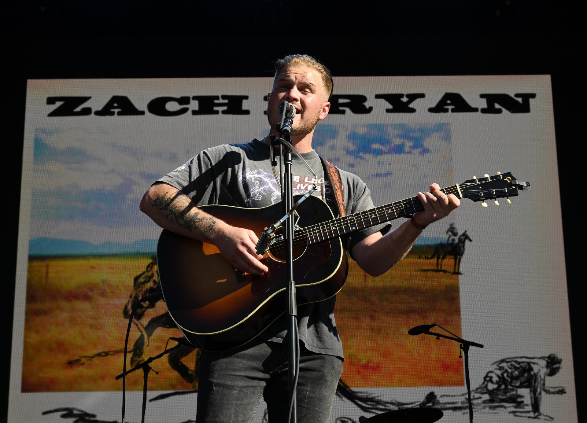Kacey Musgraves, Willie Nelson and Other Country/Americana Artists Get Inaugural Palomino Festival Off to a Gallop: Co<i></i>ncert Review