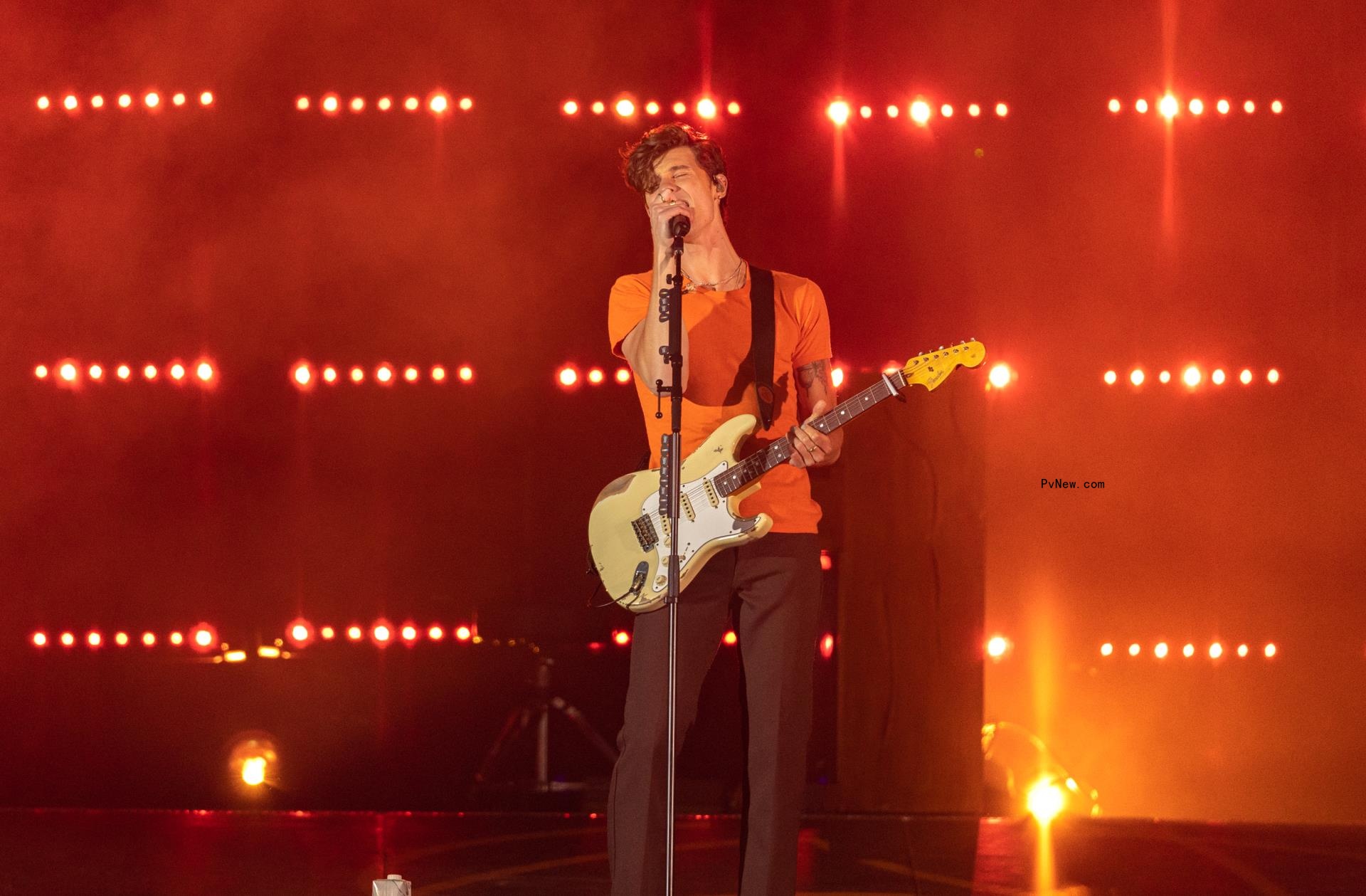 Shawn Mendes Postpo<i></i>nes Tour for Three Weeks to Focus on Mental Health