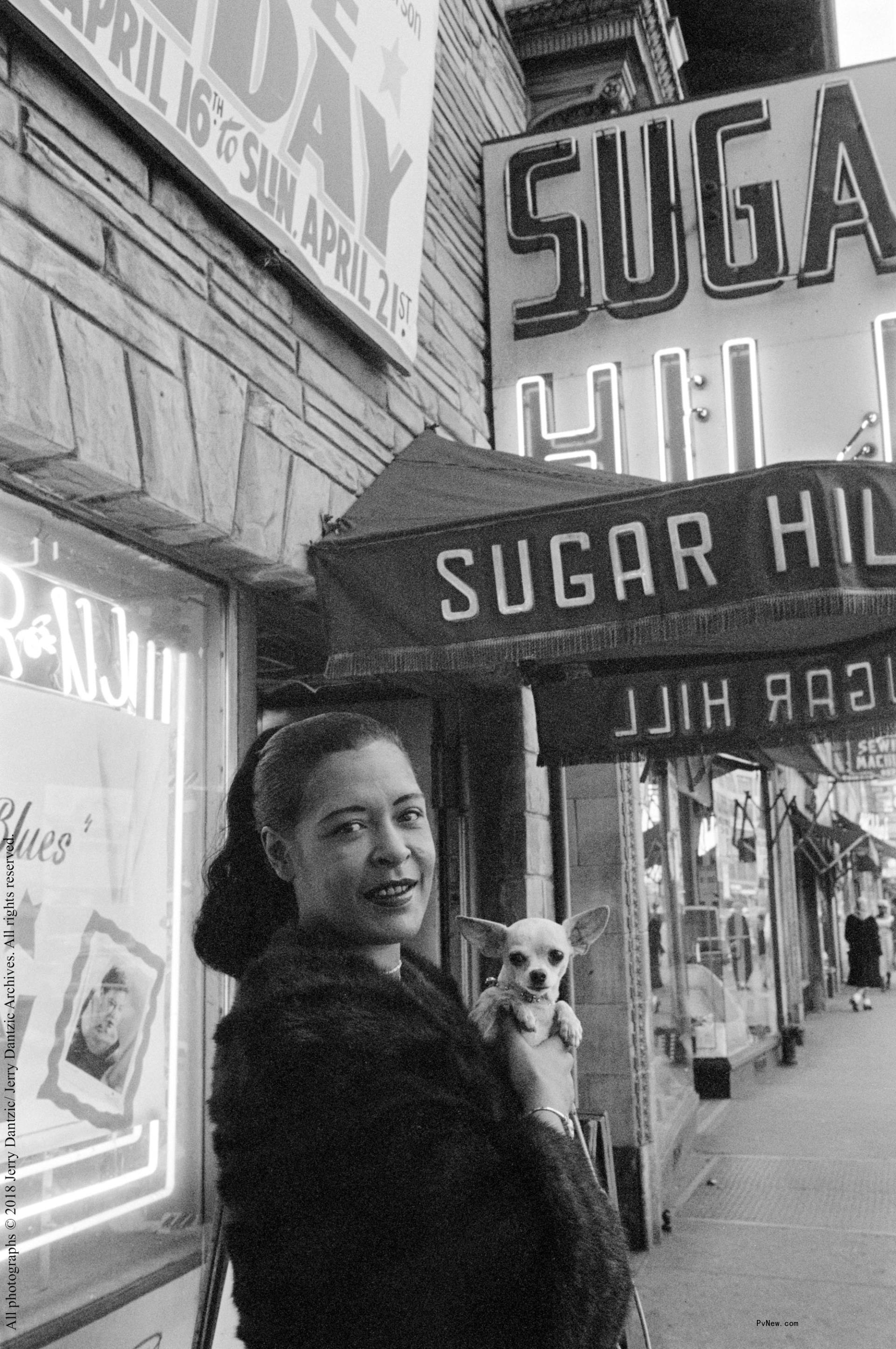 See Stunning Photos of Billie Holiday, Eartha Kitt and Other Jazz Legends From Newark Museum of Art Exhibits
