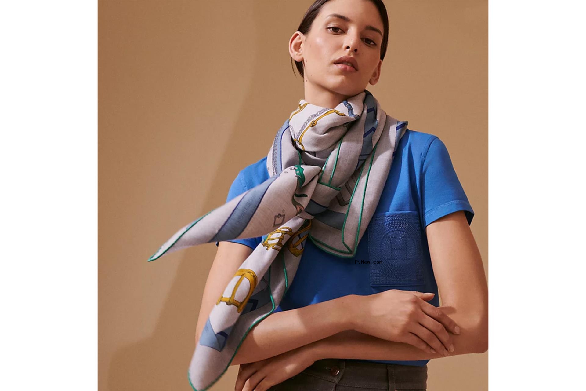 Hermès scarf