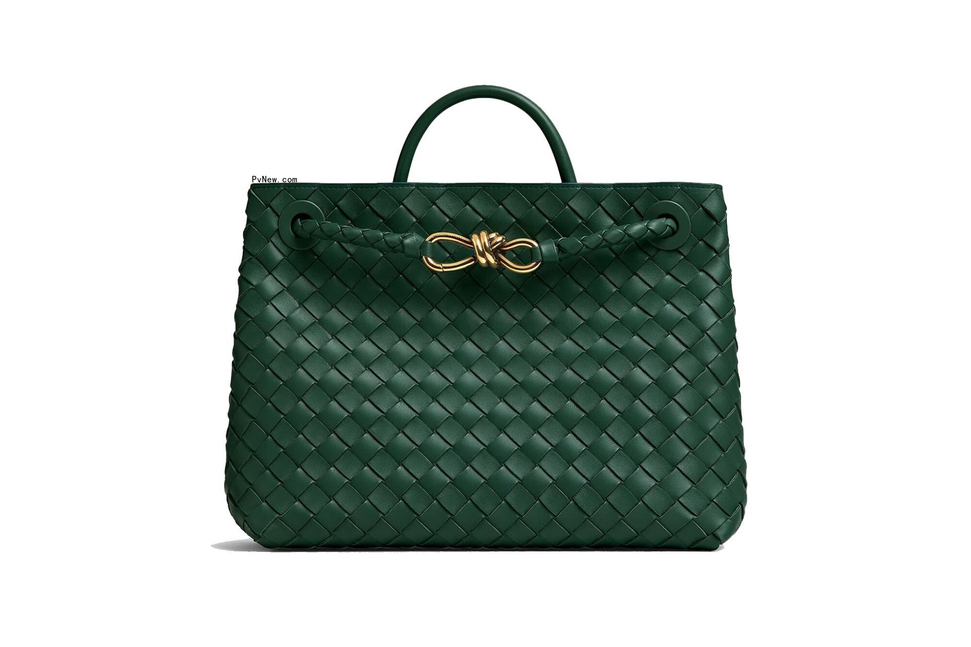 Bottega Veneta Andiamo bag