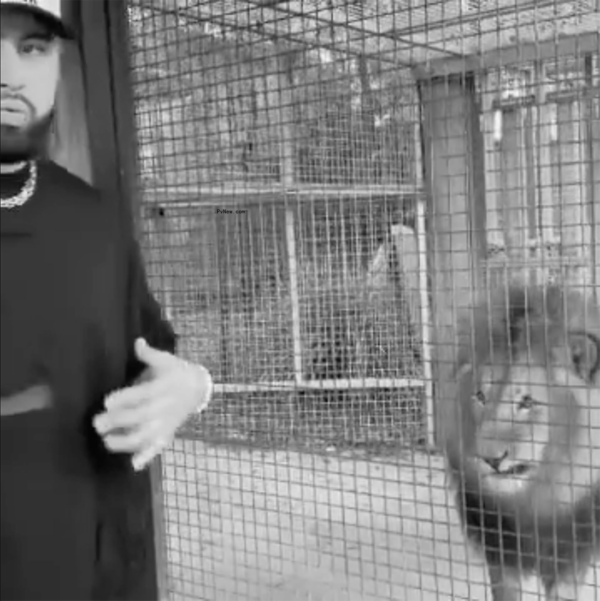 Ross Travis at a zoo.