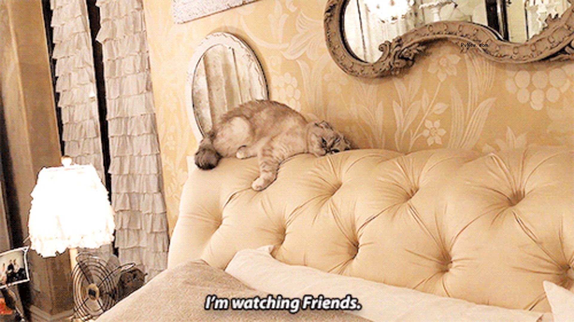 Taylor swift's bedroom in her nashville home.