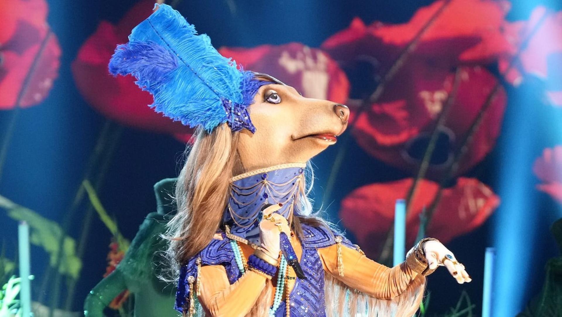 ‘The Masked Singer’ Reveals Identity of Afghan Hound: Here Is the Celebrity Under the Costume
