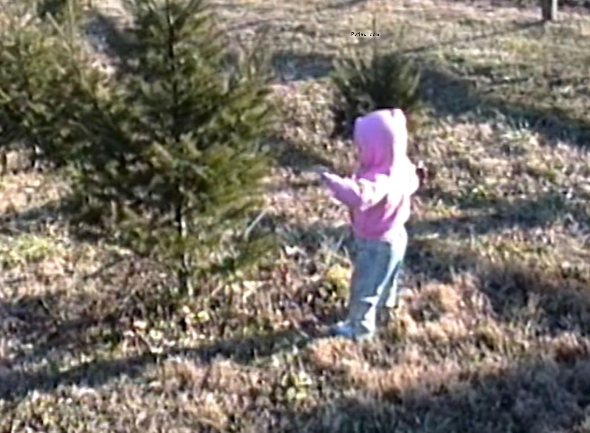 Taylor Swift as a child on her Christmas tree farm in Reading, Penn.
