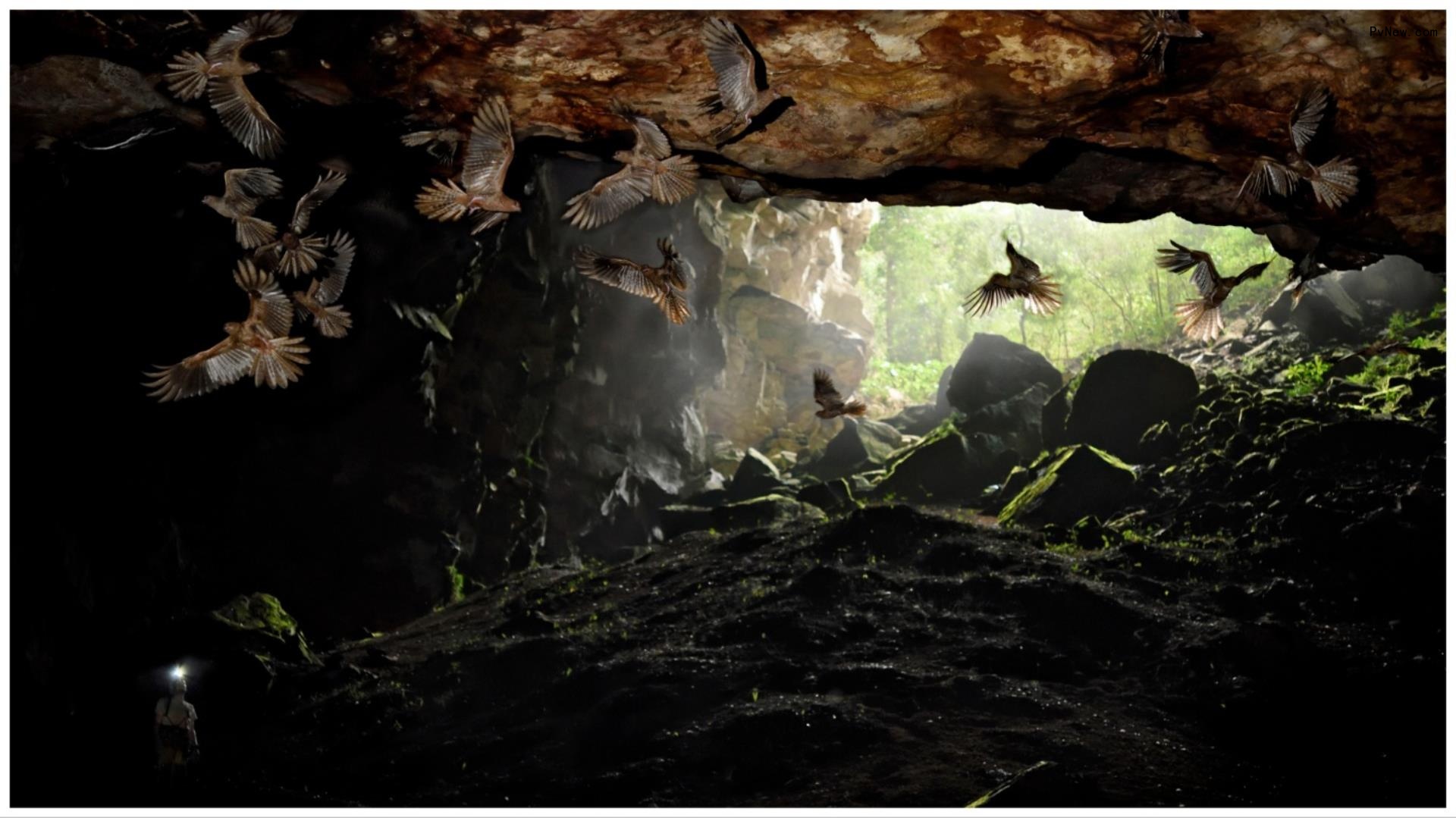 ‘Tepui – Into the House of Gods,’ Exploring the Mountains of Venezuela, to Be Launched at MipTV by ZDF Studios
