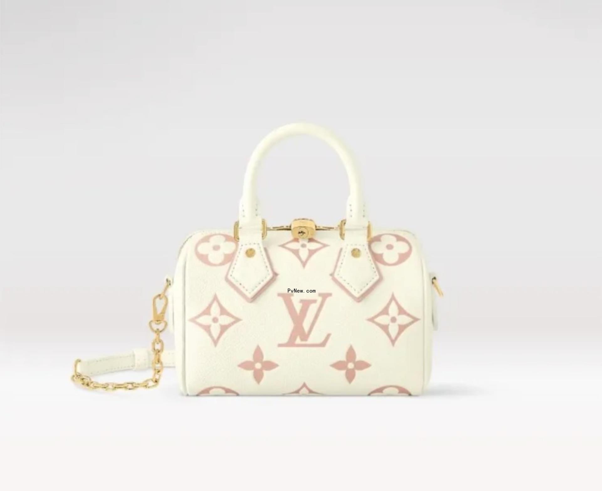 Louis Vuitton bag