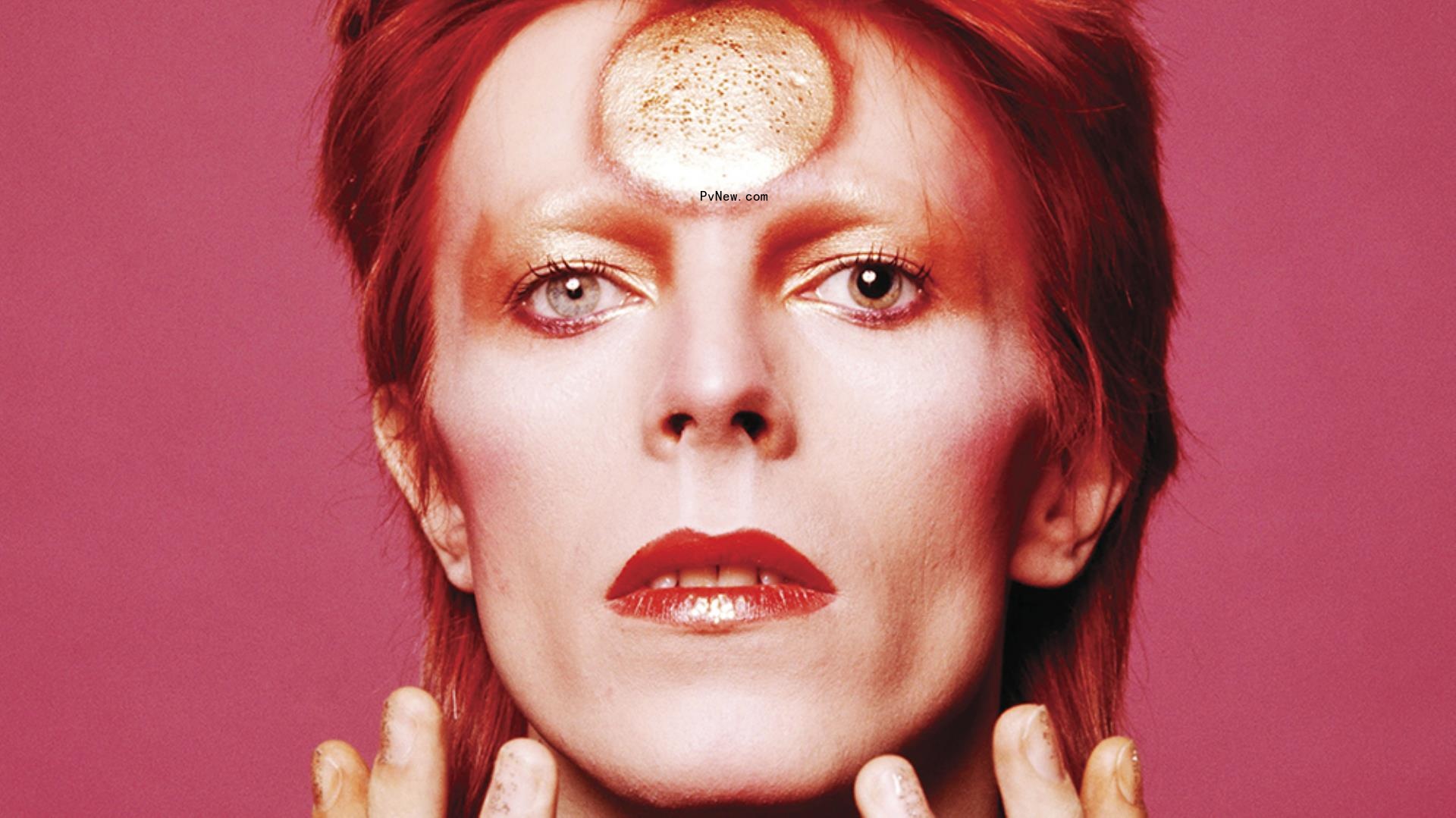 DCD Rights Sees Pre-Sales Boom with Remastered Bowie, Hendrix, Chicago and Elvis Titles