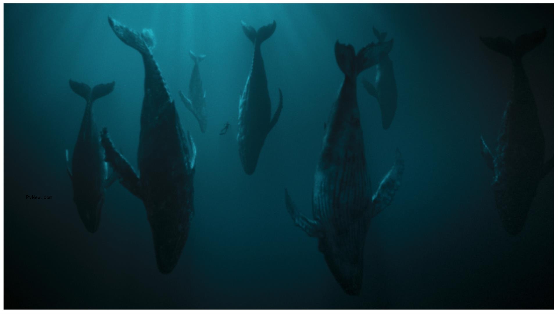How Showrunner Frank Doelger Applied What He Learned on ‘Game of Thrones’ to Eco-Thriller ‘The Swarm’