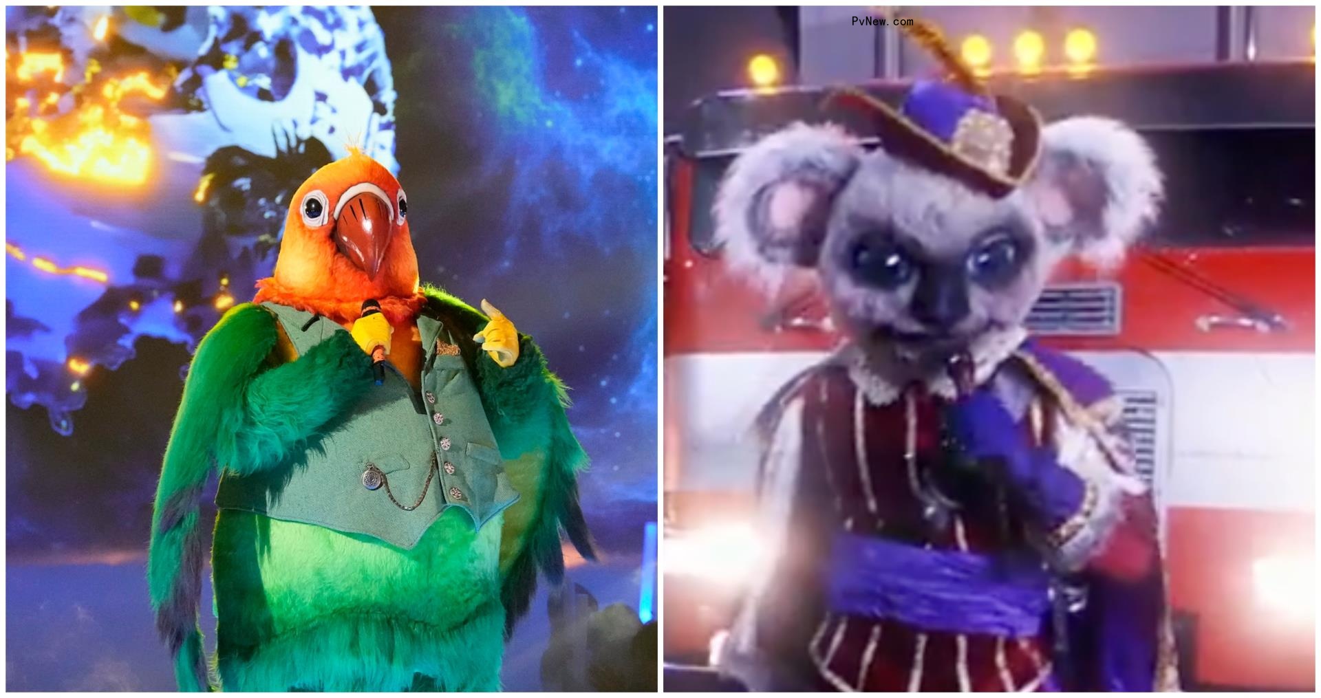 ‘The Masked Singer’ Reveals Identities of Koala and Love Bird: Here Are the Celebrities Under the Costumes
