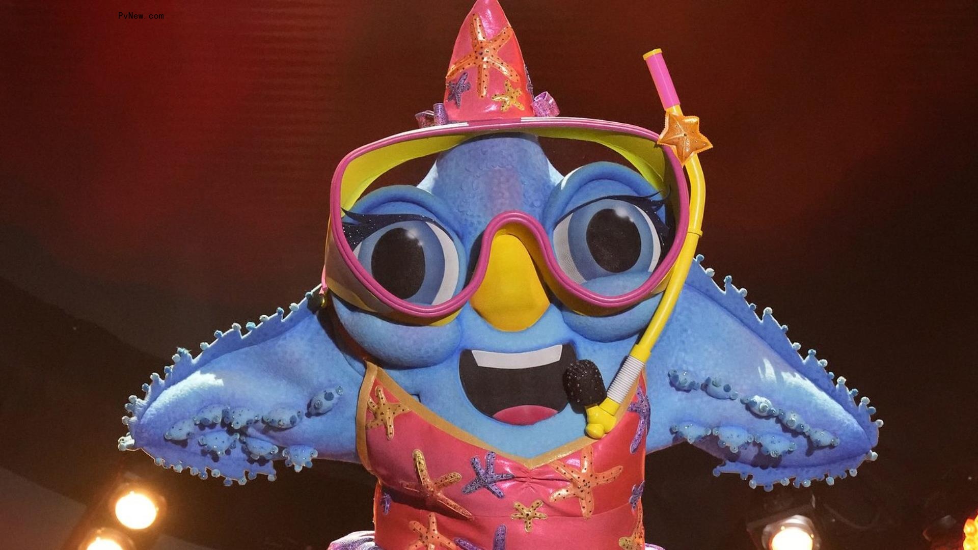‘The Masked Singer’ Reveals Identities of Koala and Love Bird: Here Are the Celebrities Under the Costumes