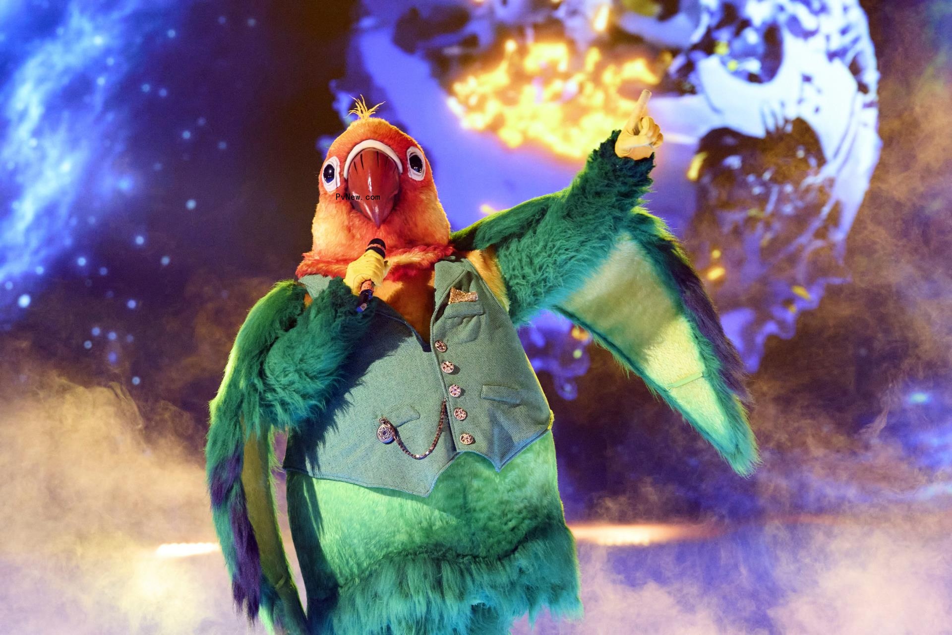‘The Masked Singer’ Reveals Identities of Koala and Love Bird: Here Are the Celebrities Under the Costumes