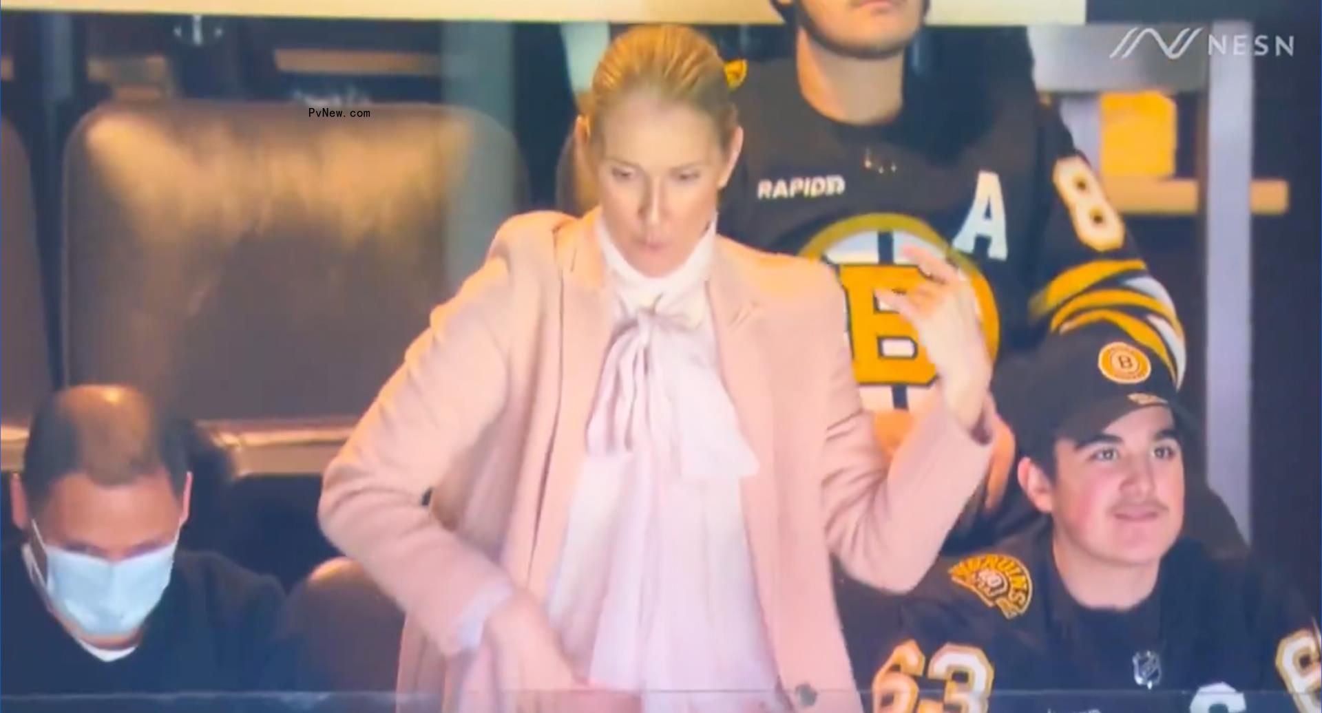 celine dion air guitar