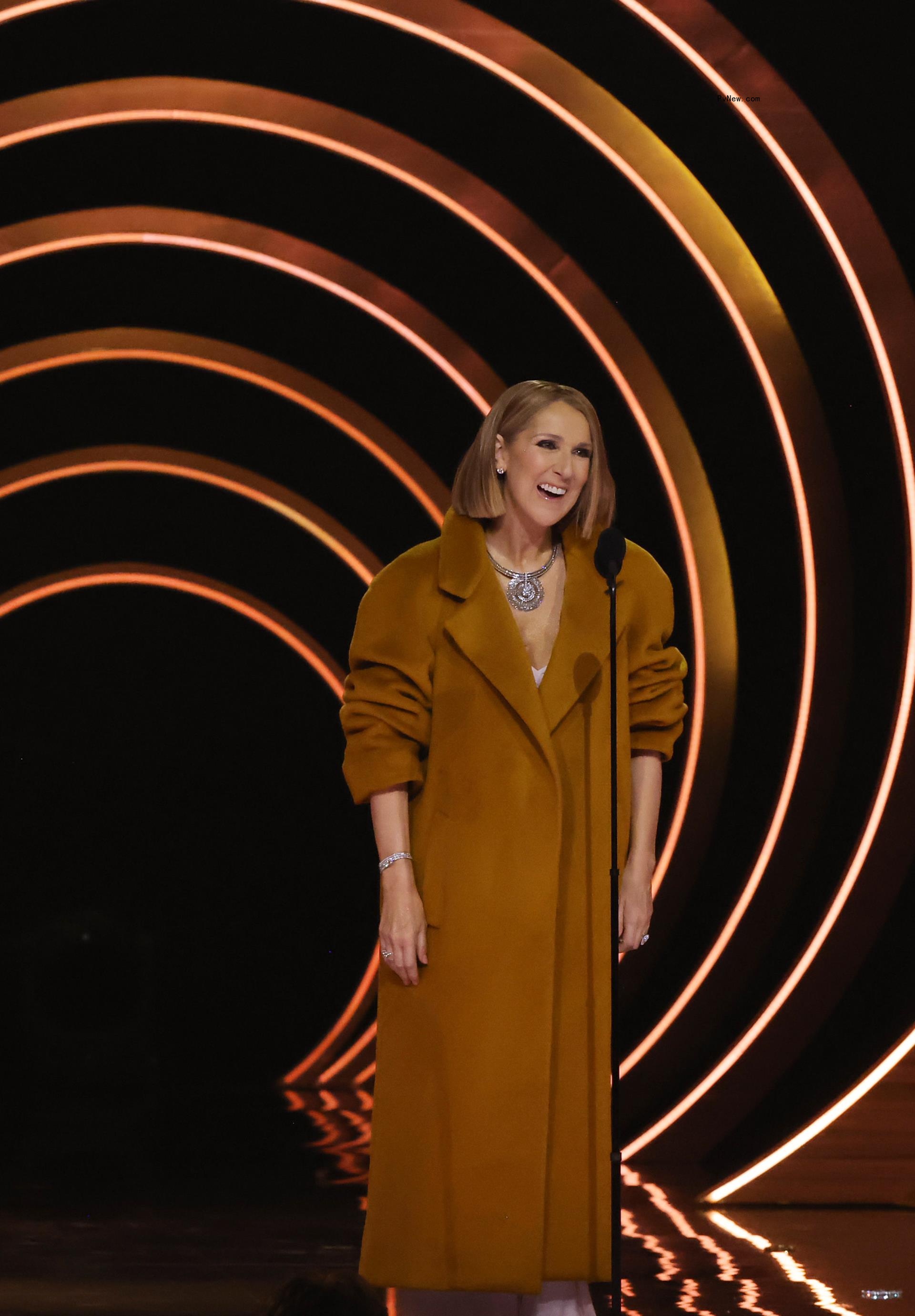 celine dion on stage at grammys 2024