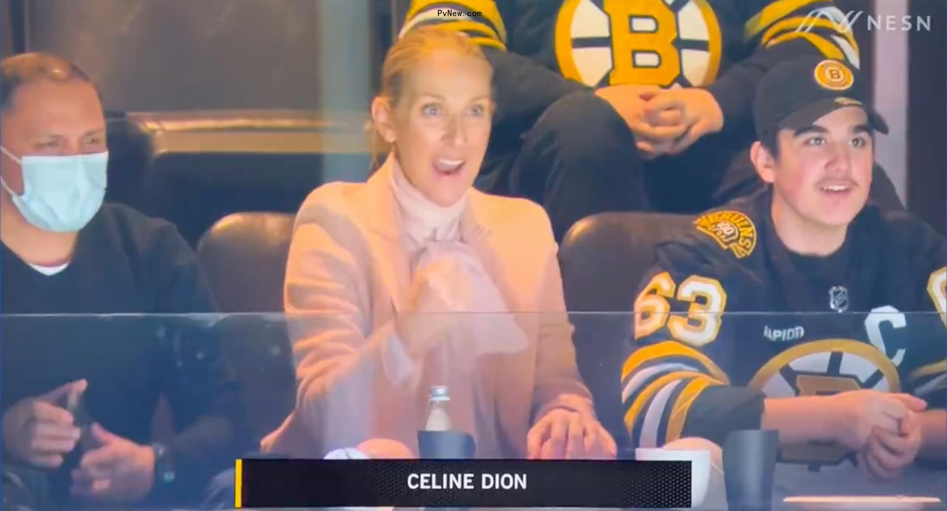 celine dion at bruins game sitting and cheering