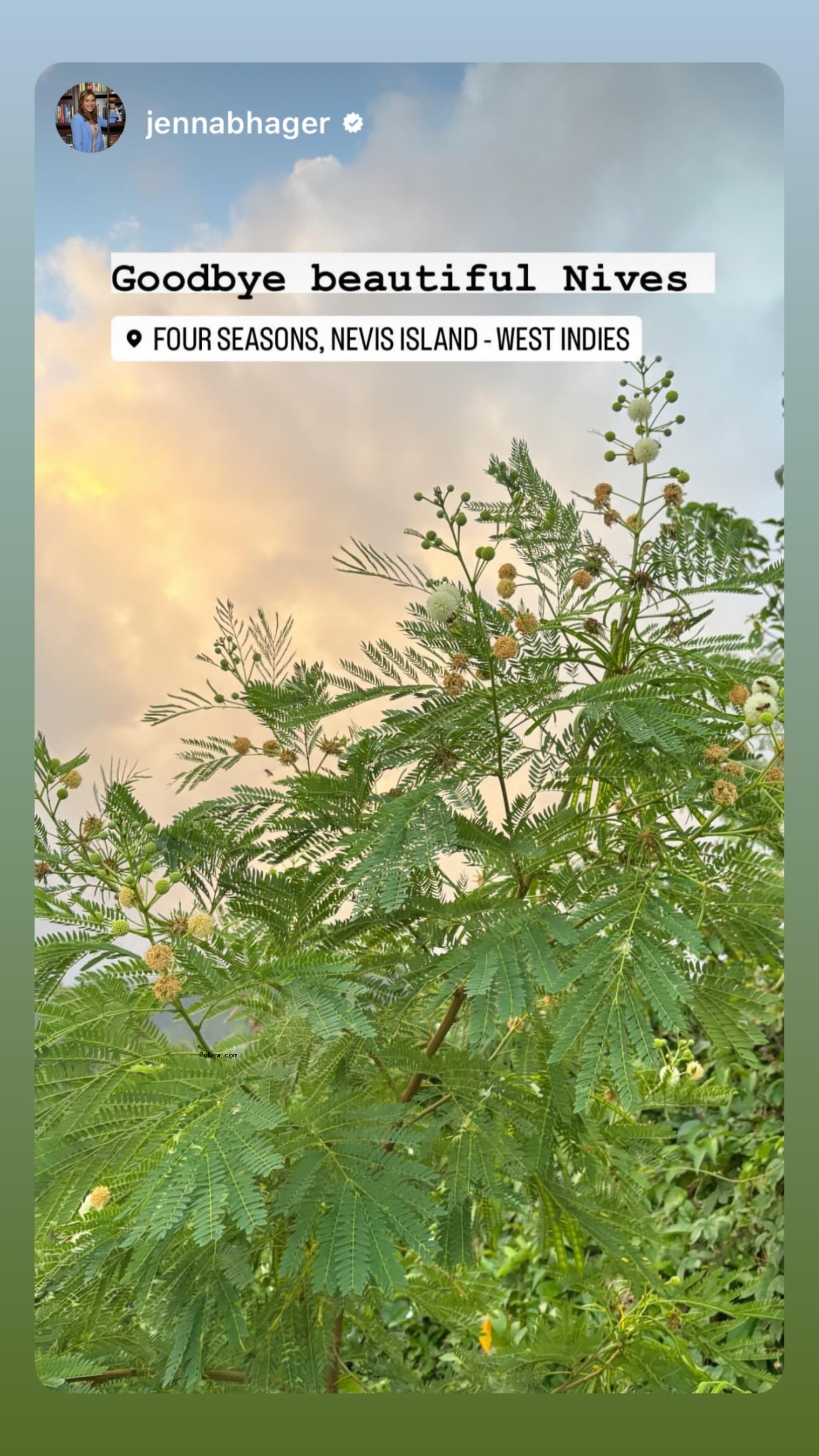 Jenna Bush Hager's Instagram Story of a plant