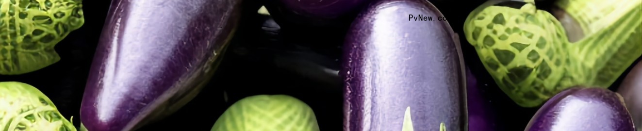 gatorpenis1