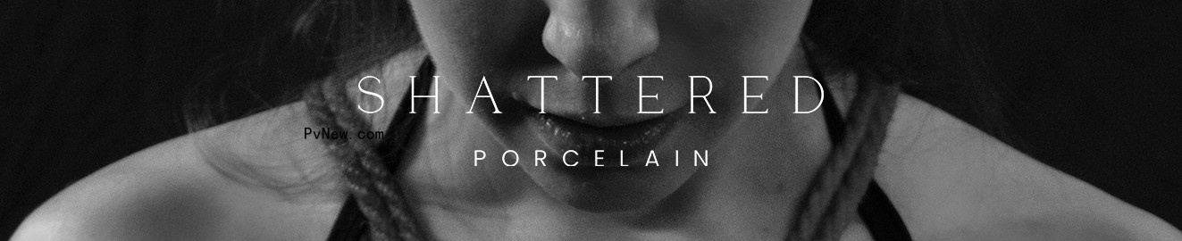 shatteredporcelain