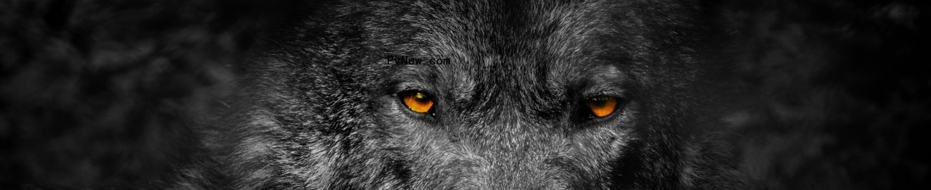 Flint Wolf
