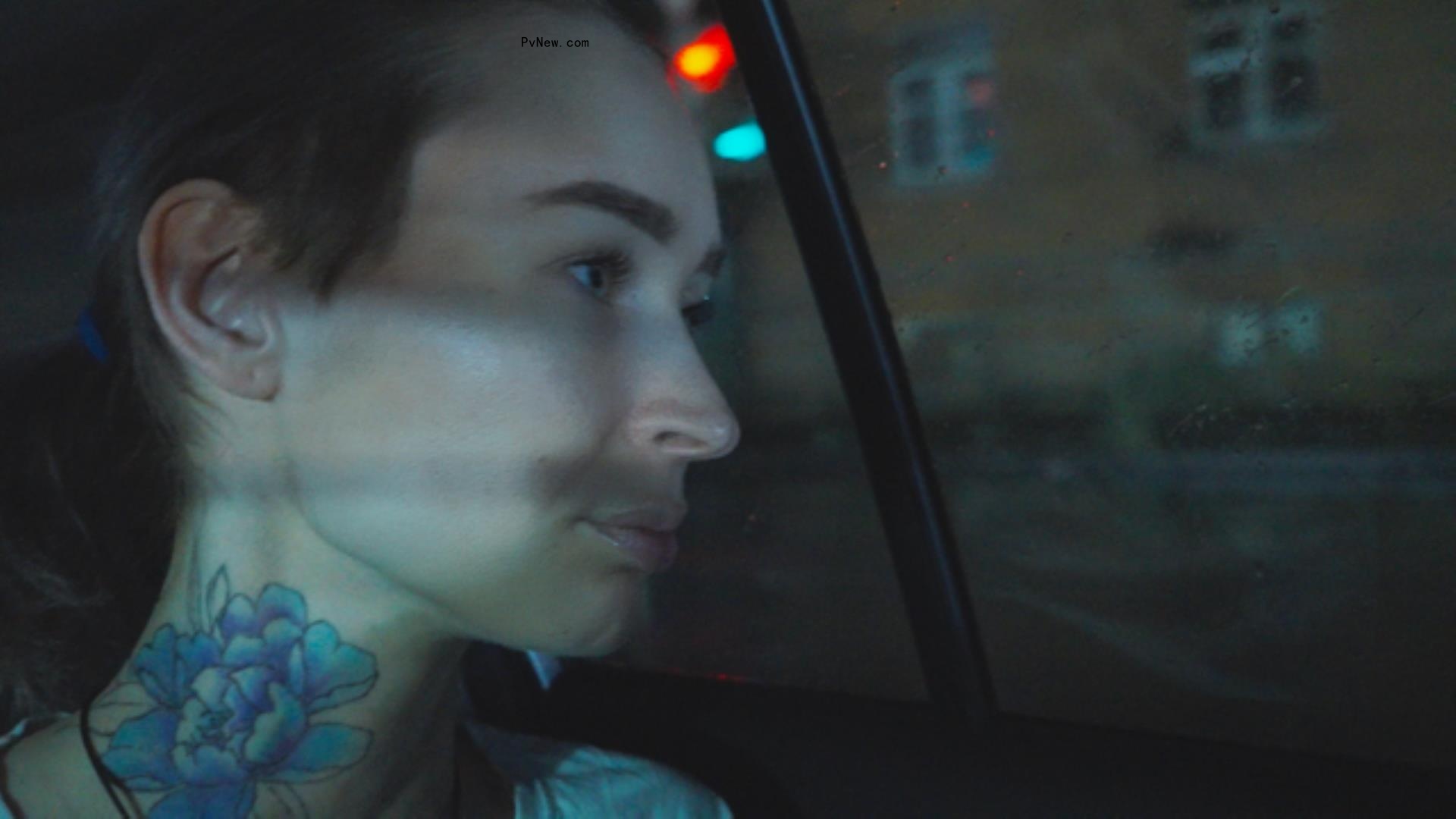 Modern Heroes Tread the World Stage From Srebrenica to Tbilisi, India, Palermo and a Wo<i></i>ndrous Greenland Ice Sheet in Latest Swiss Docs