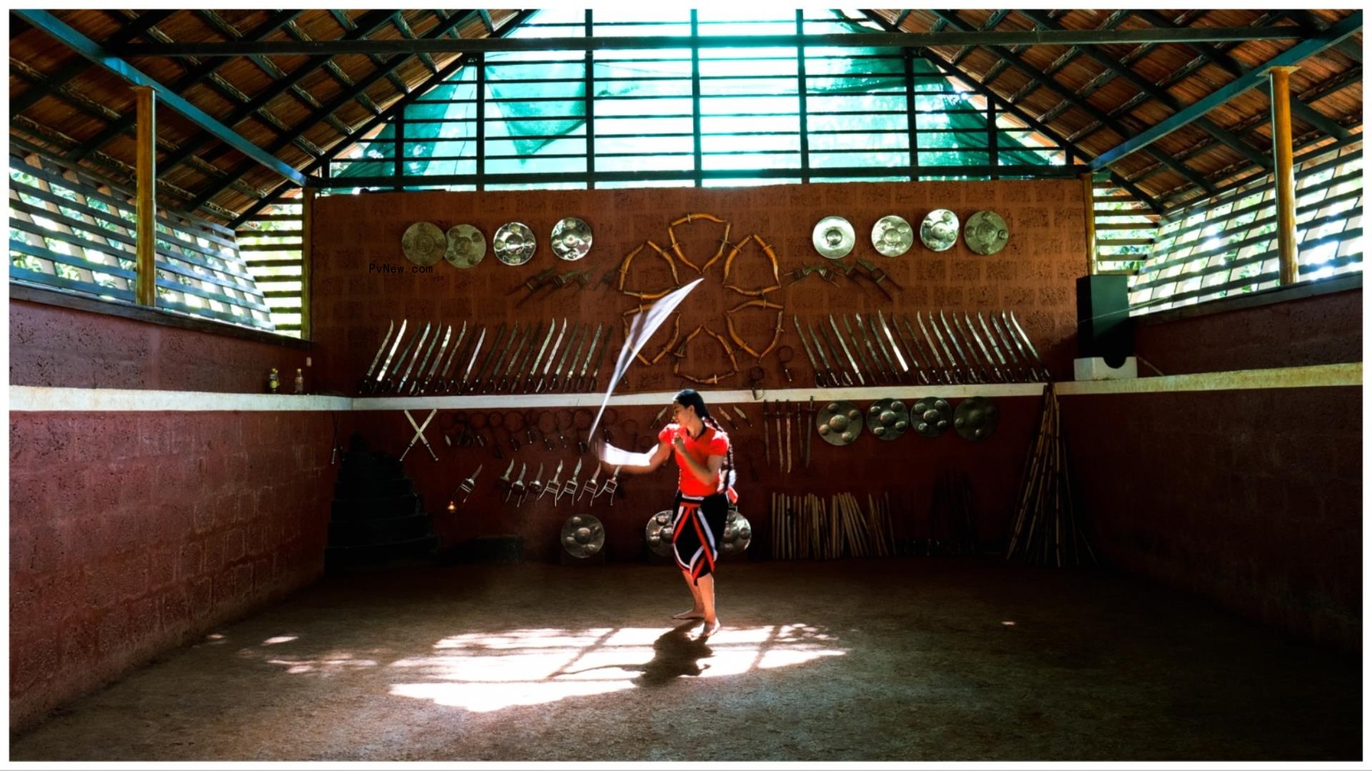 Modern Heroes Tread the World Stage From Srebrenica to Tbilisi, India, Palermo and a Wo<i></i>ndrous Greenland Ice Sheet in Latest Swiss Docs