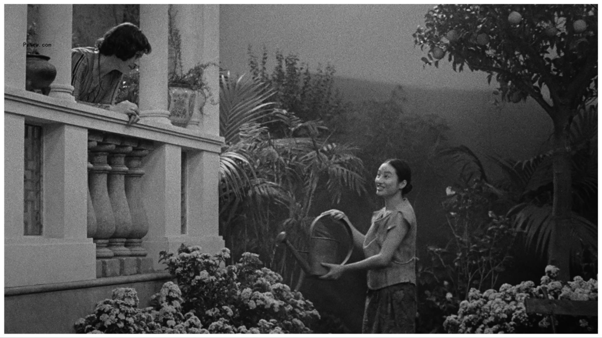 Cannes Competition Title ‘Grand Tour’ Debuts Trailer, Director Miguel Gomes’ Next Film to Be ‘Savagery’