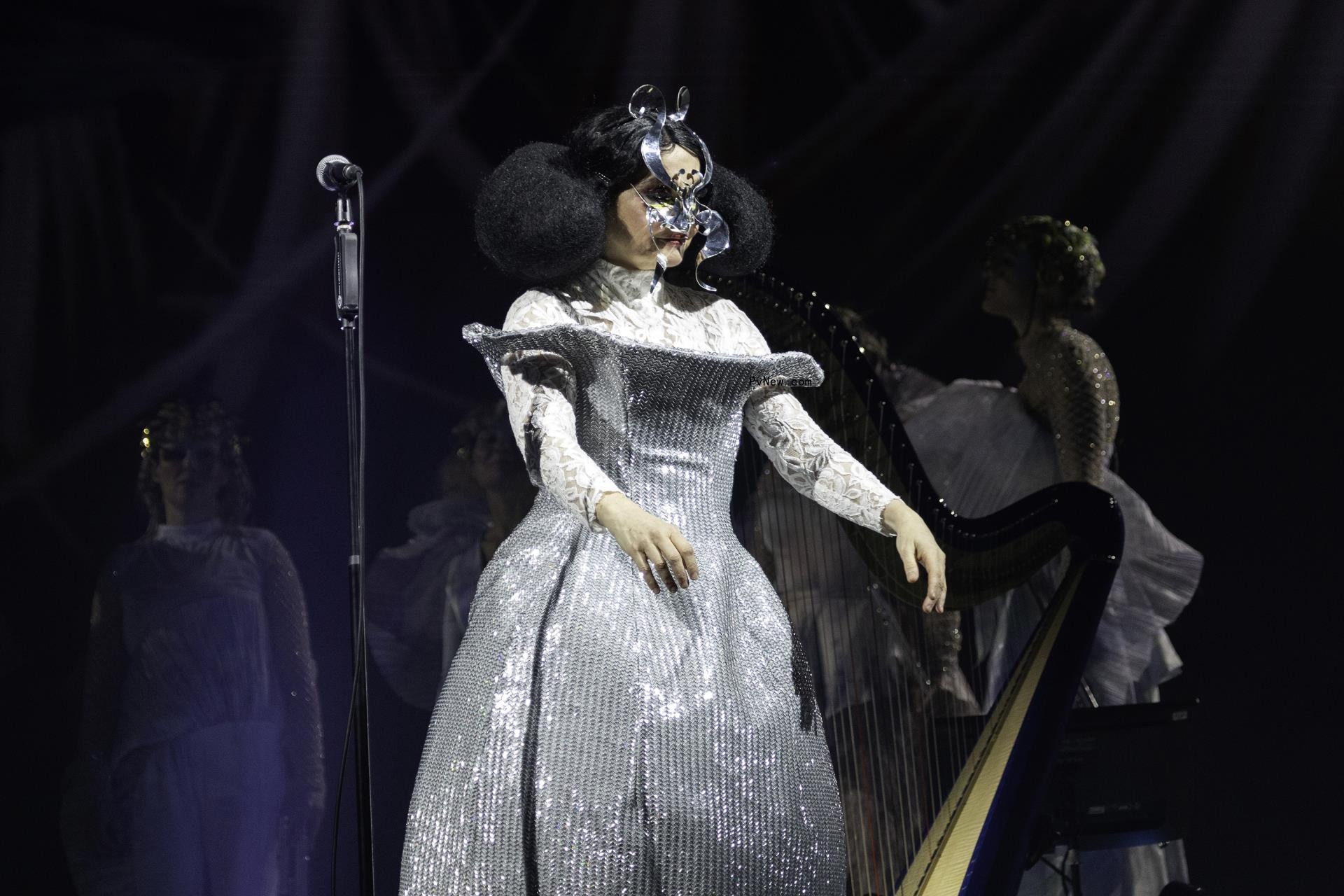 Bjork performs on stage during a co<i></i>ncert of her tour 