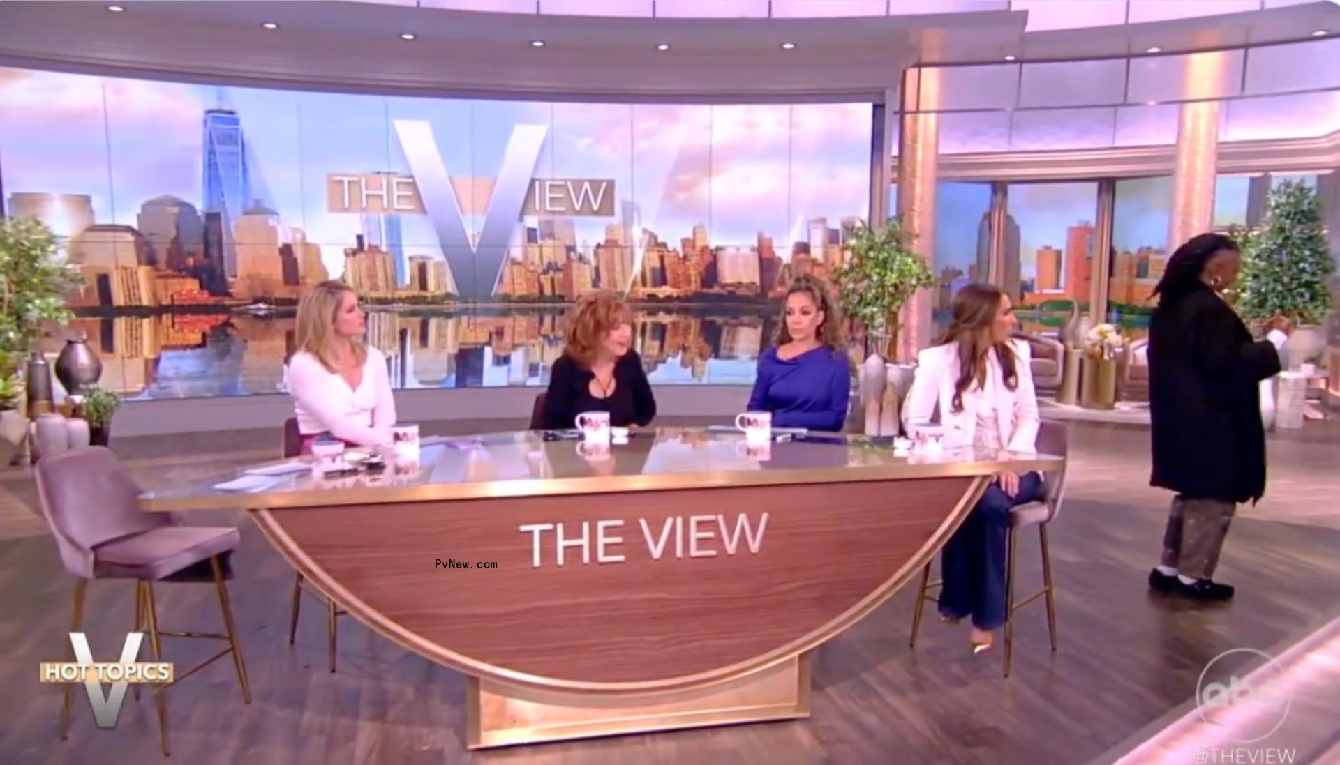 Whoopi Goldberg walking off stage to scold a fan