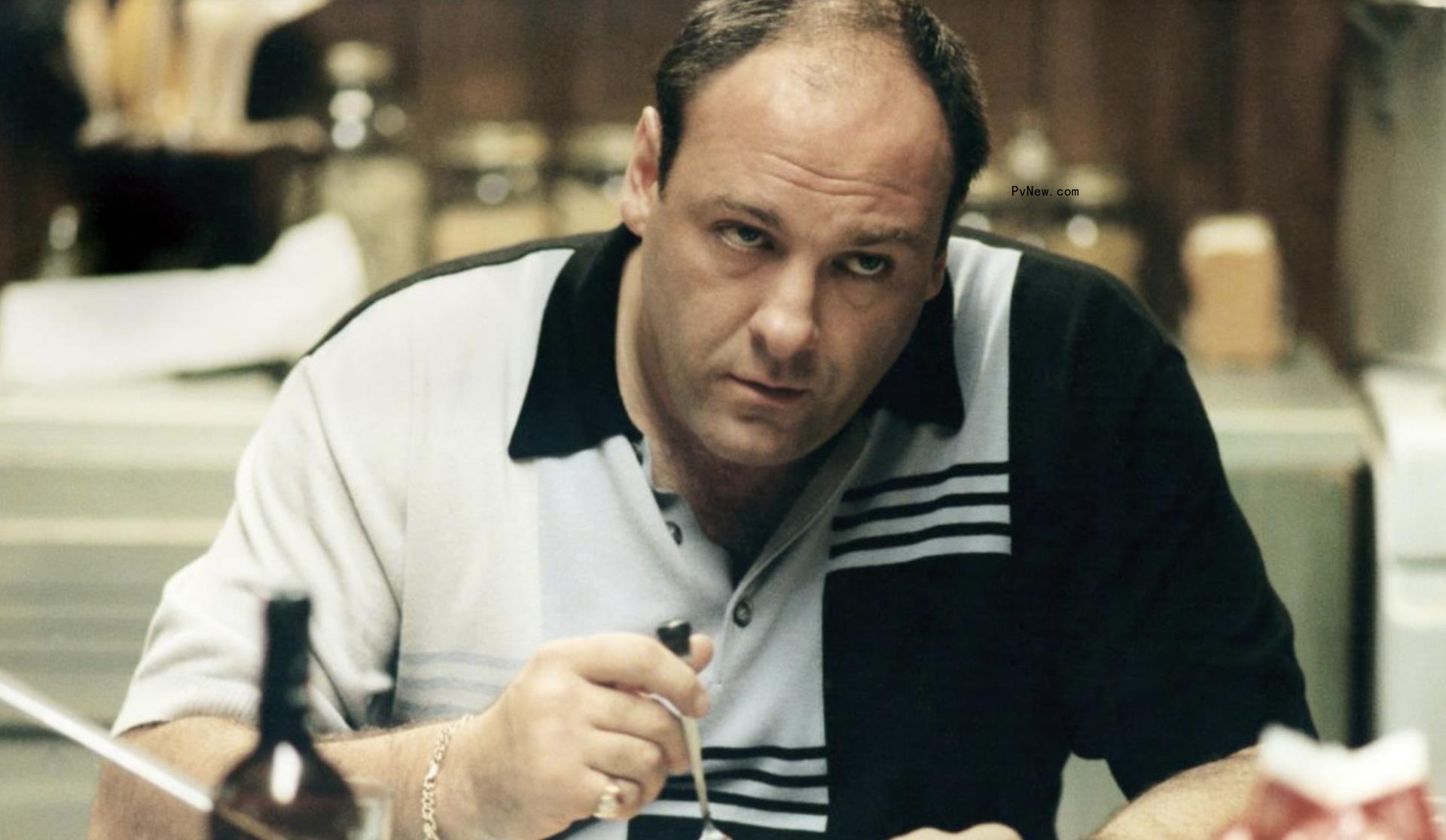 James Gandolfini Reprised Tony Soprano in 2010 to Help Recruit LeBron James to the Knicks — the Video Footage Has Debuted o<i></i>nline After 14 Years