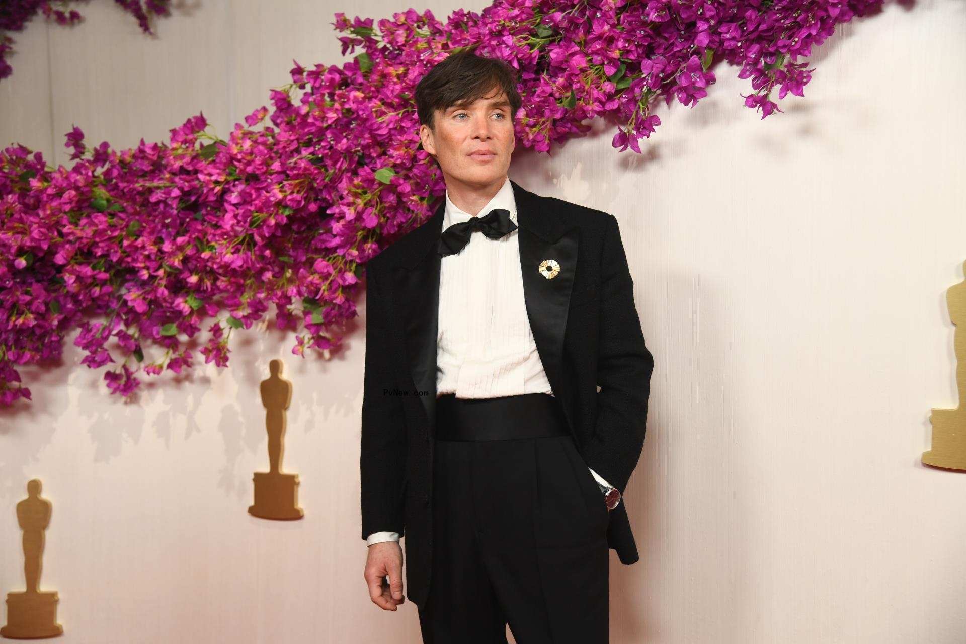 Cillian Murphy Named Best Actor at Irish Academy Awards: ‘It Feels Lovely Being Home’