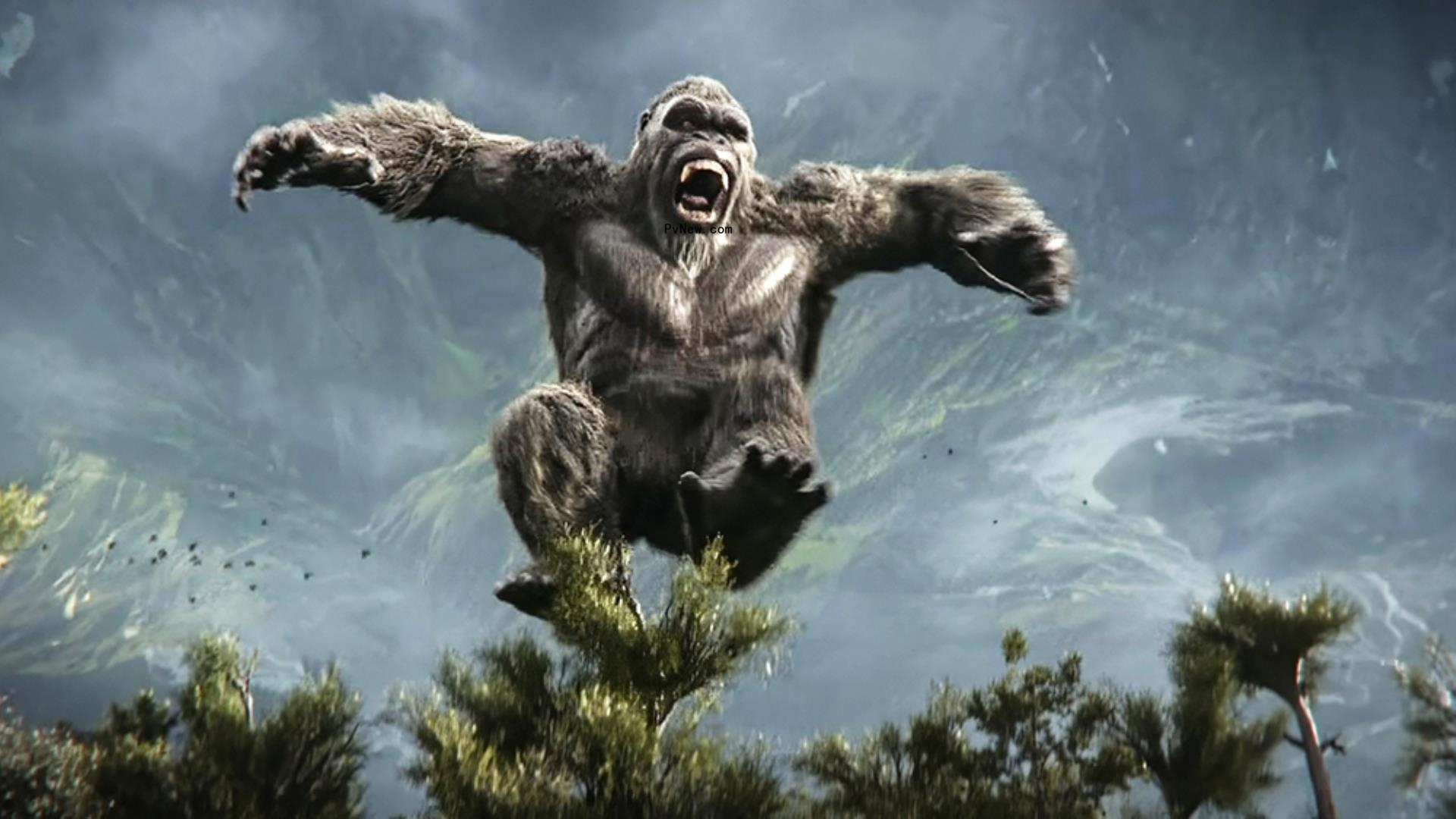 China Box Office: ‘Godzilla x Kong’ Retakes Lead, as ‘The Boy and the Heron’ Passes $100 Million